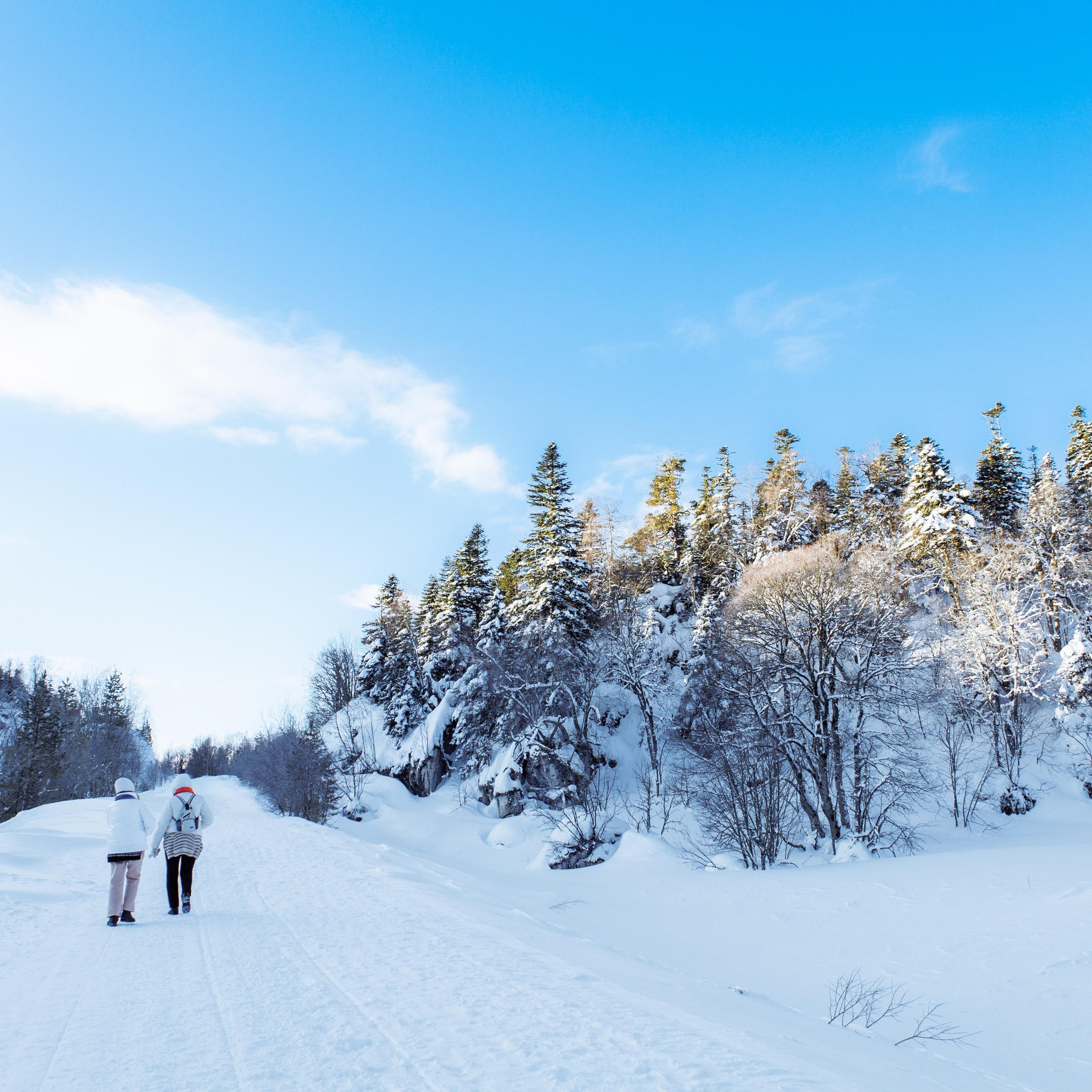 Адыгея. Лаго-Наки 27.01.24. Фотограф katya_vkadre Таганрог