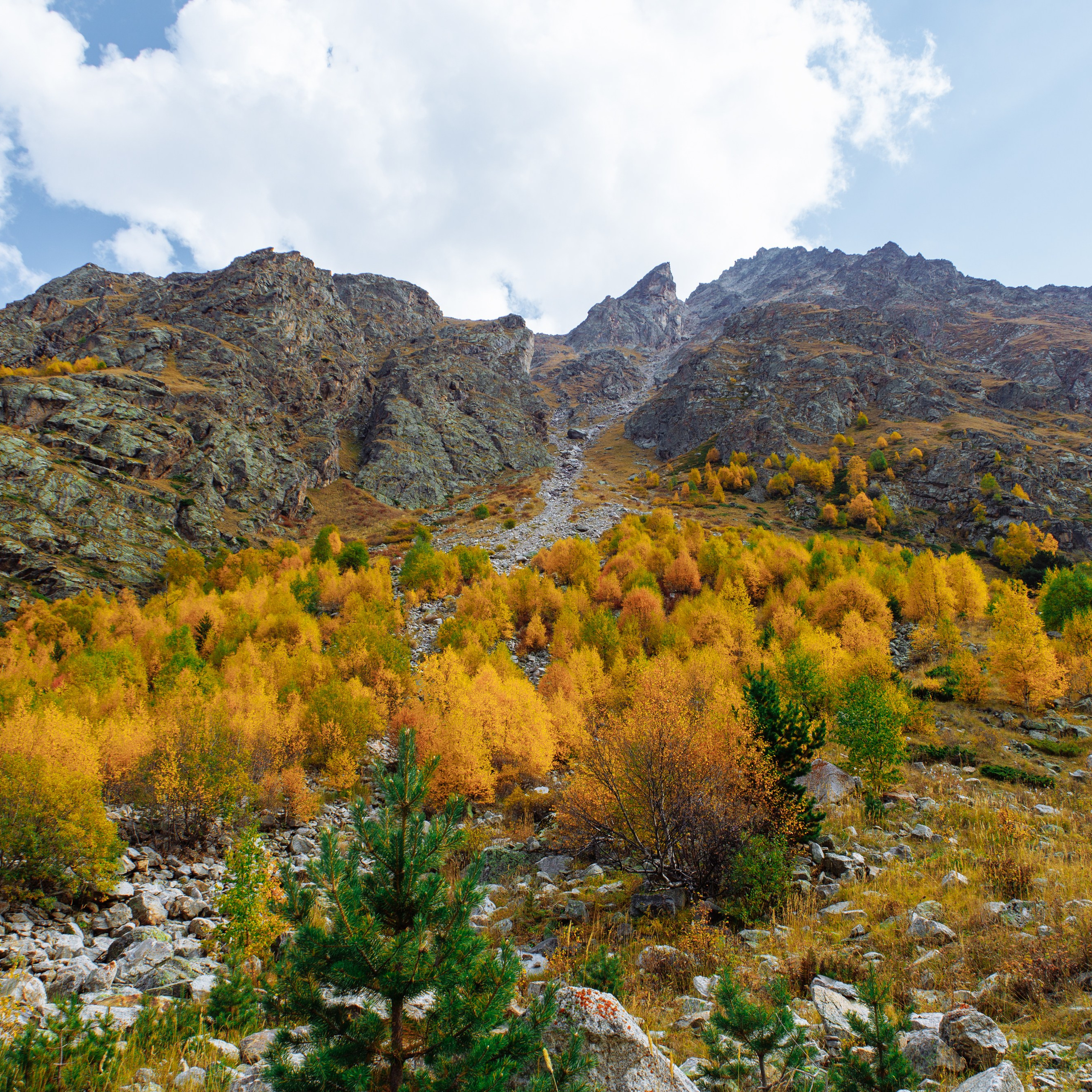 Приэльбрусье 30.09 — 01.10 2023. Фотограф katya_vkadre Таганрог