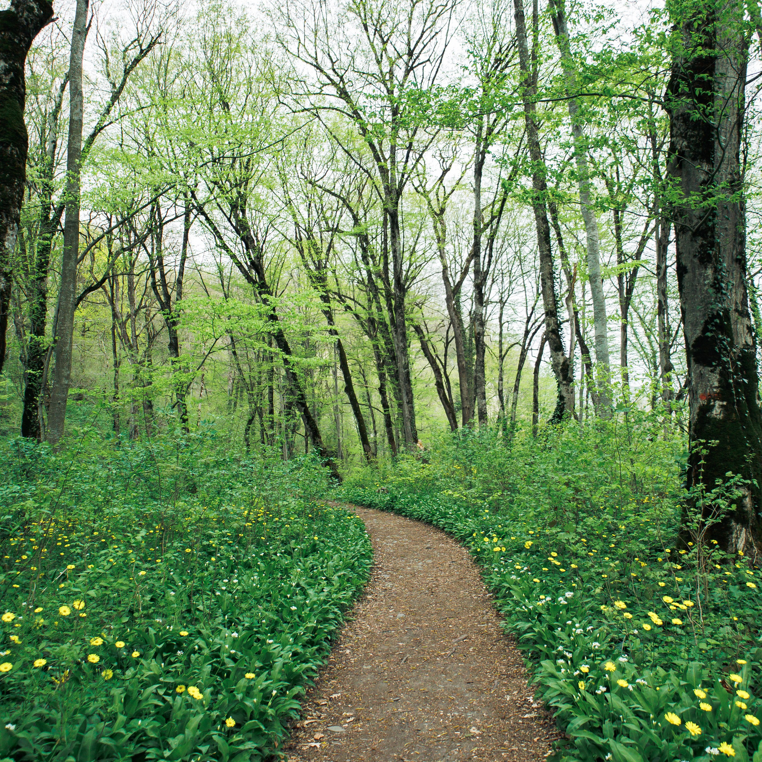 Адыгея. Водопады Руфабго 13.04.24. Фотограф katya_vkadre Таганрог