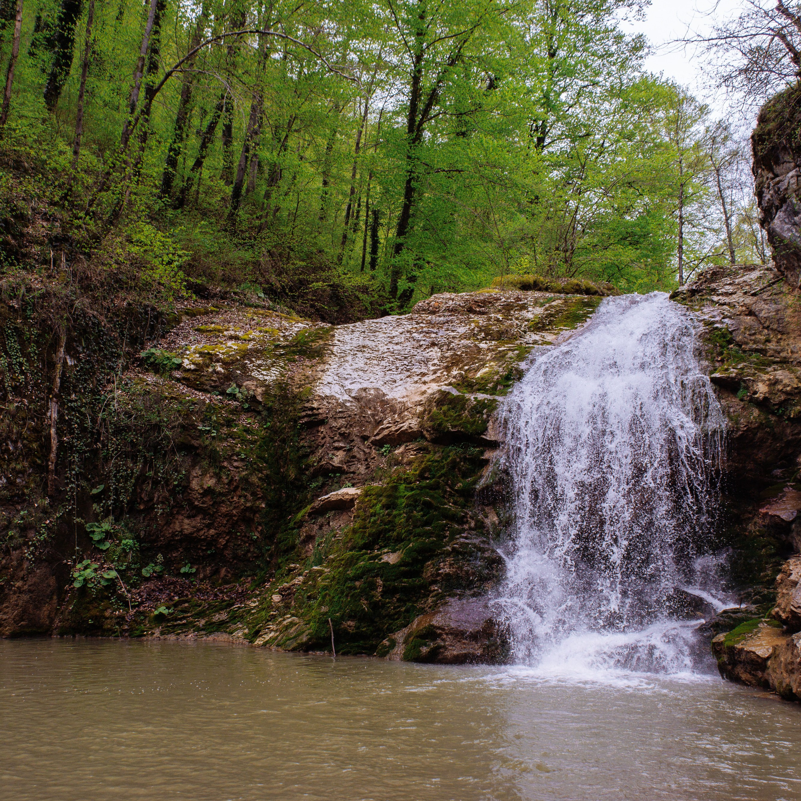 Адыгея. Водопады Руфабго 13.04.24. Фотограф katya_vkadre Таганрог