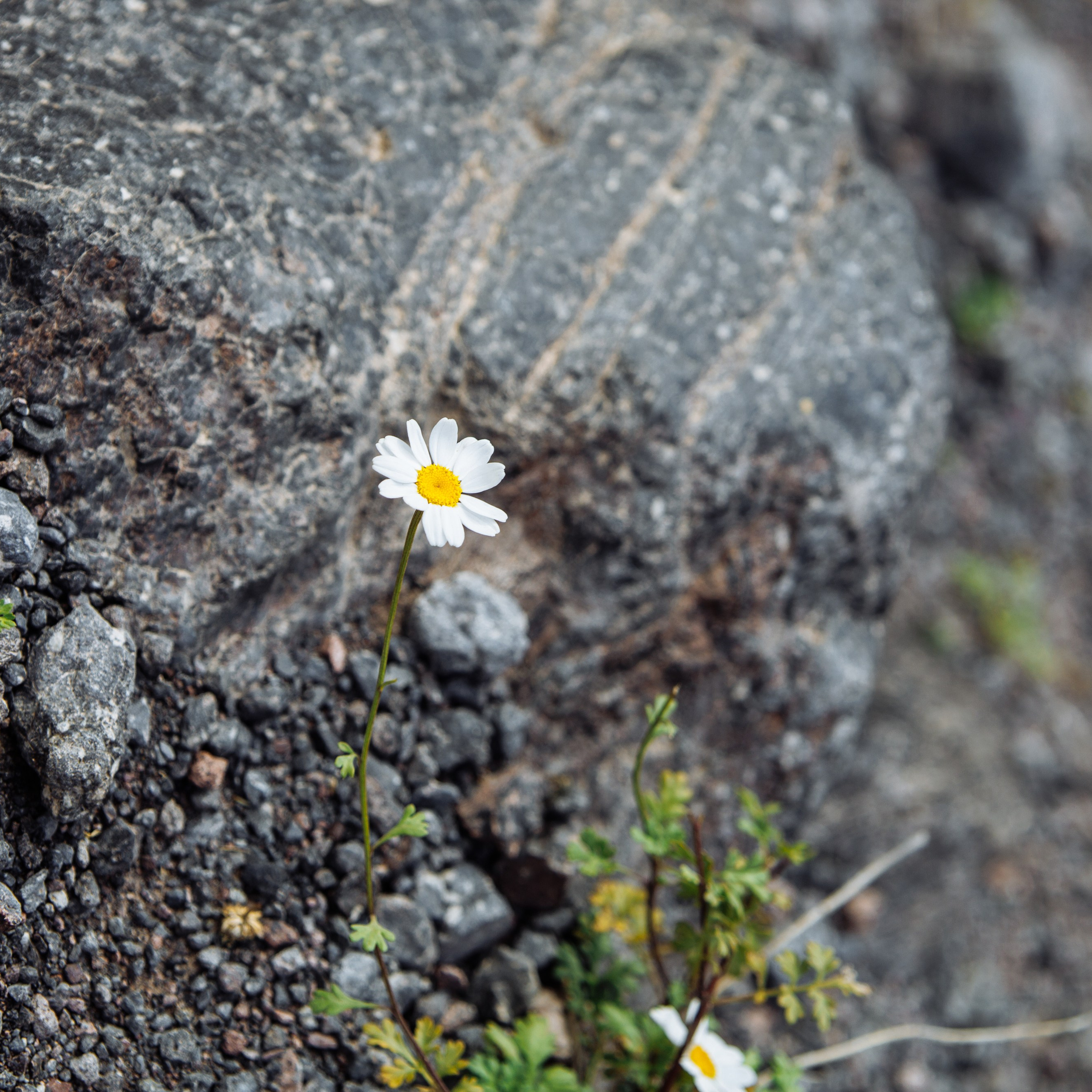 Приэльбрусье 30.09 — 01.10 2023. Фотограф katya_vkadre Таганрог