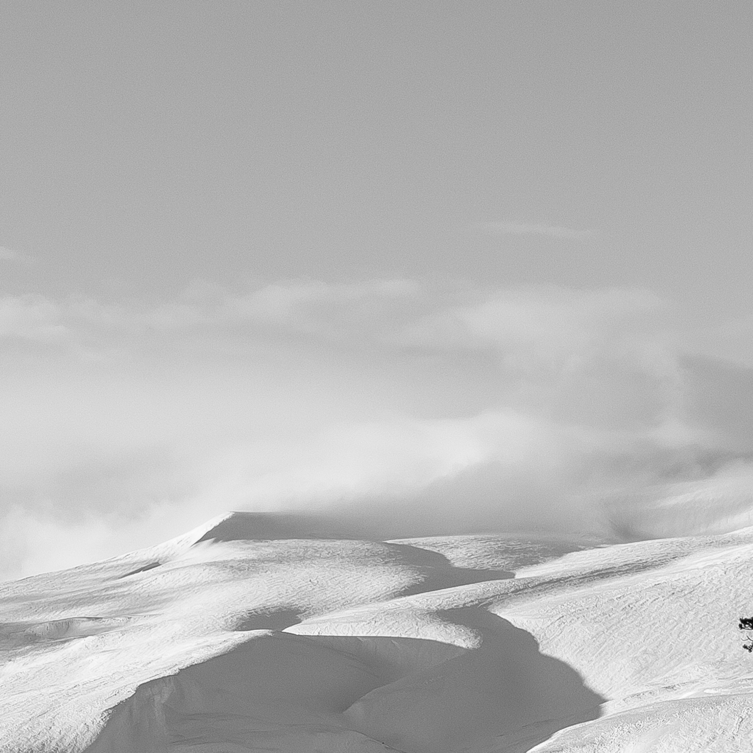 Адыгея. Лаго-Наки 27.01.24. Фотограф katya_vkadre Таганрог