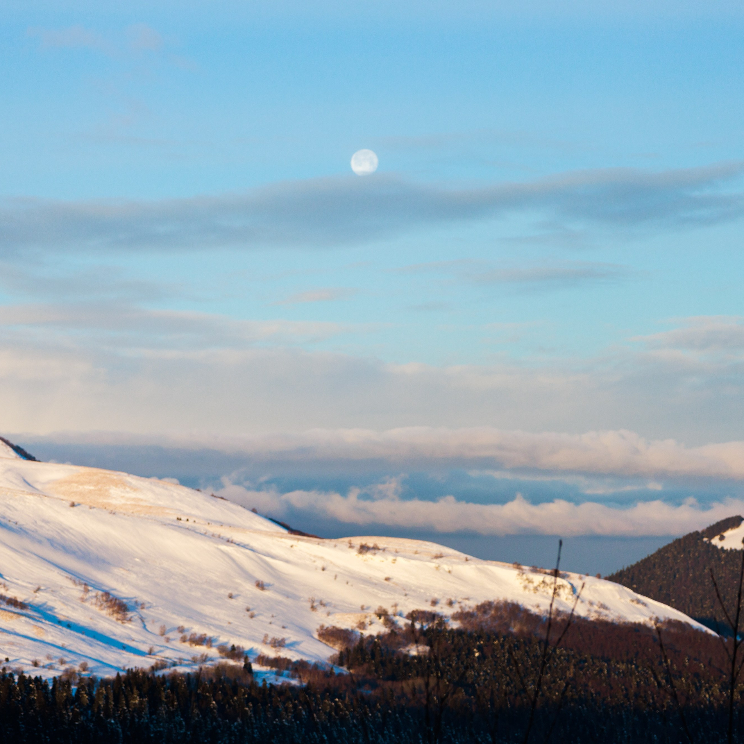 Адыгея. Лаго-Наки 27.01.24. Фотограф katya_vkadre Таганрог