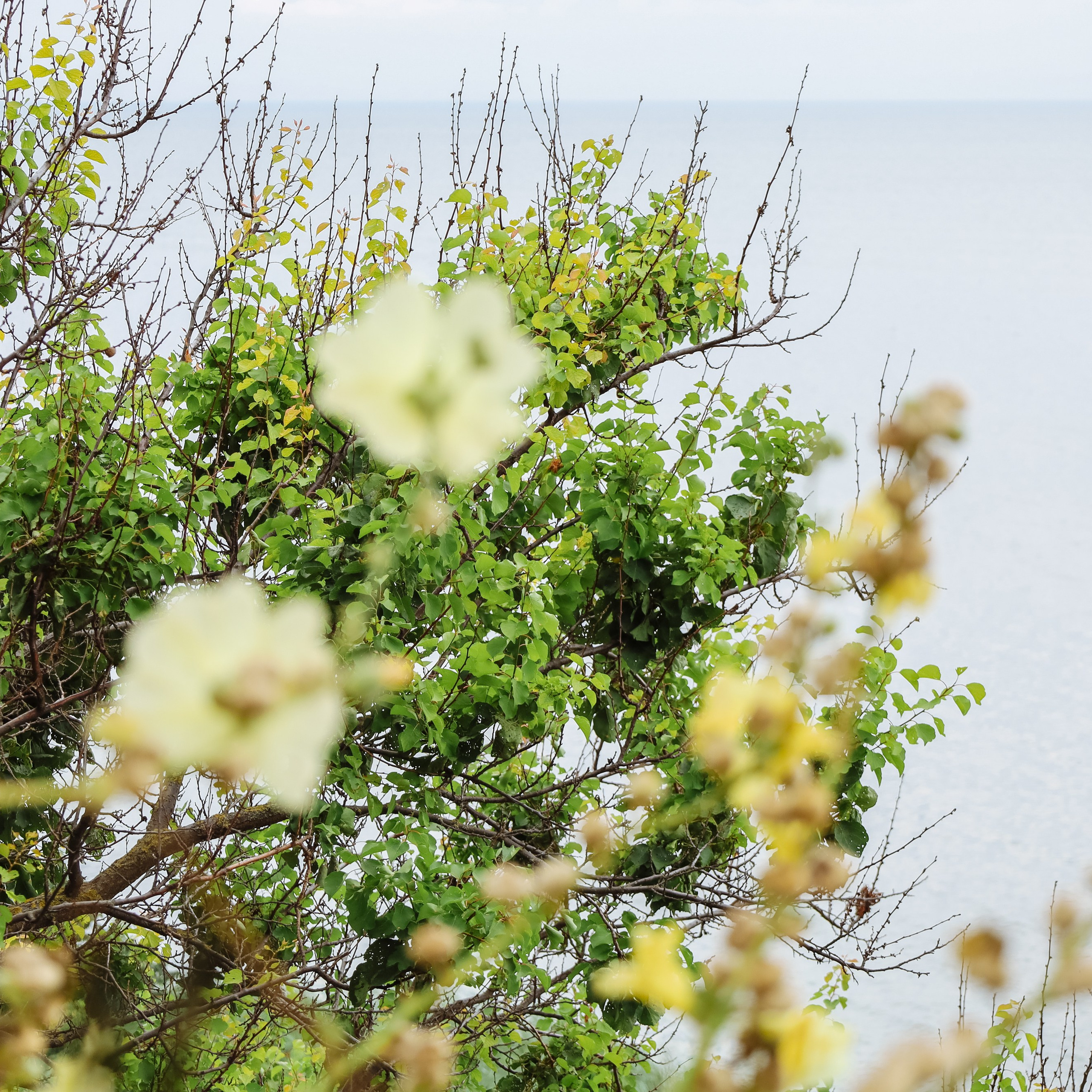 Фотосессия на день рождения. Фотограф katya_vkadre Таганрог