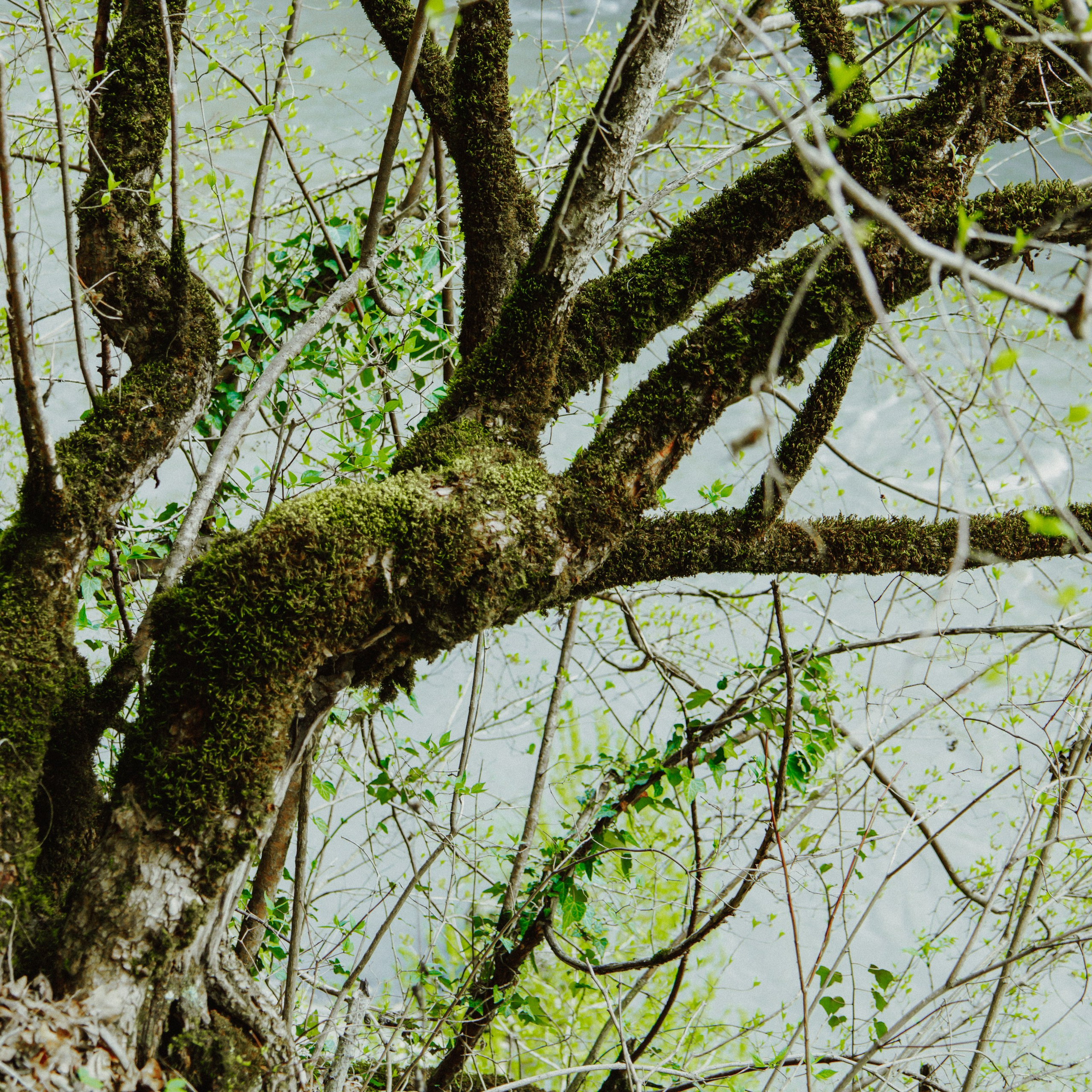 Адыгея. Водопады Руфабго 13.04.24. Фотограф katya_vkadre Таганрог