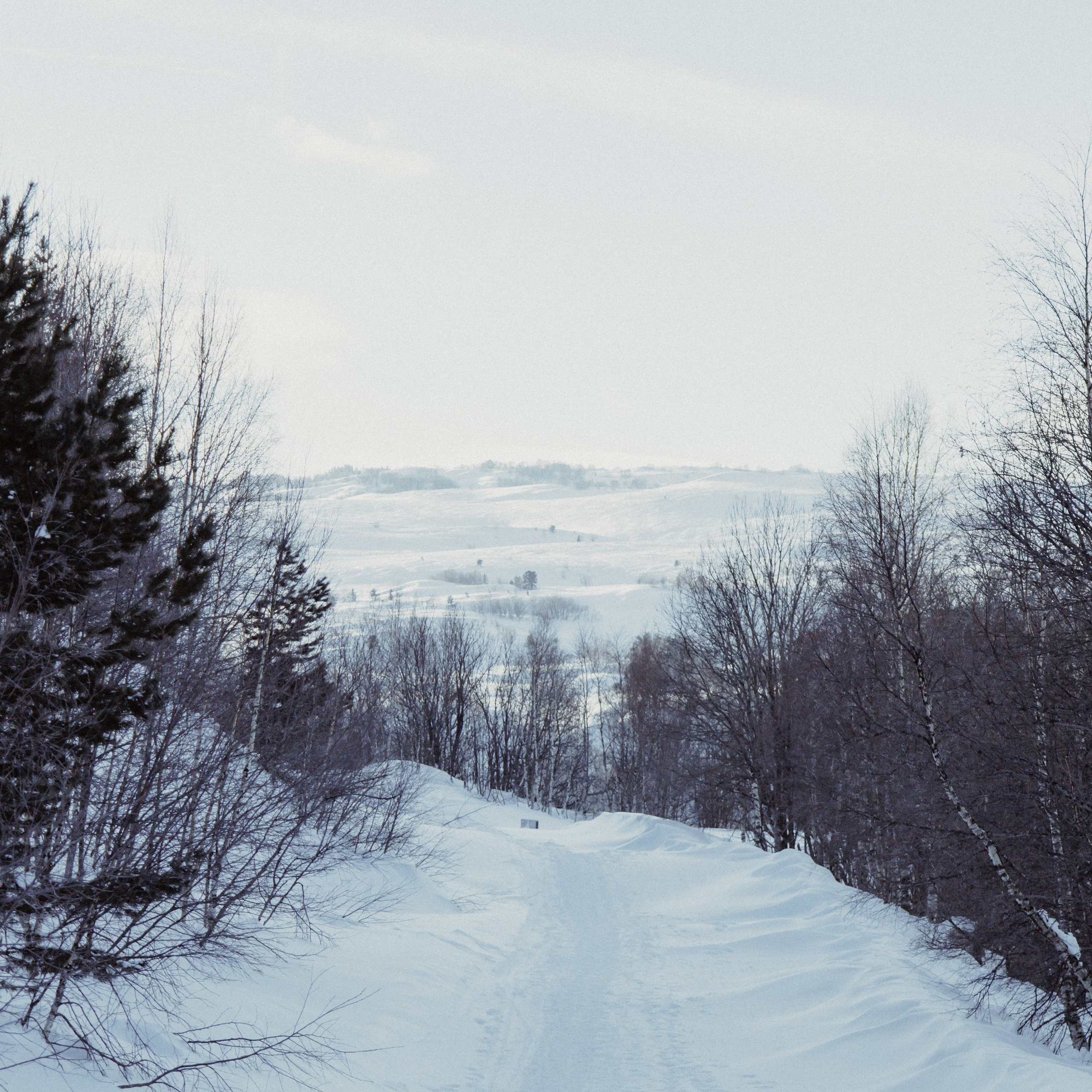 Адыгея. Лаго-Наки 27.01.24