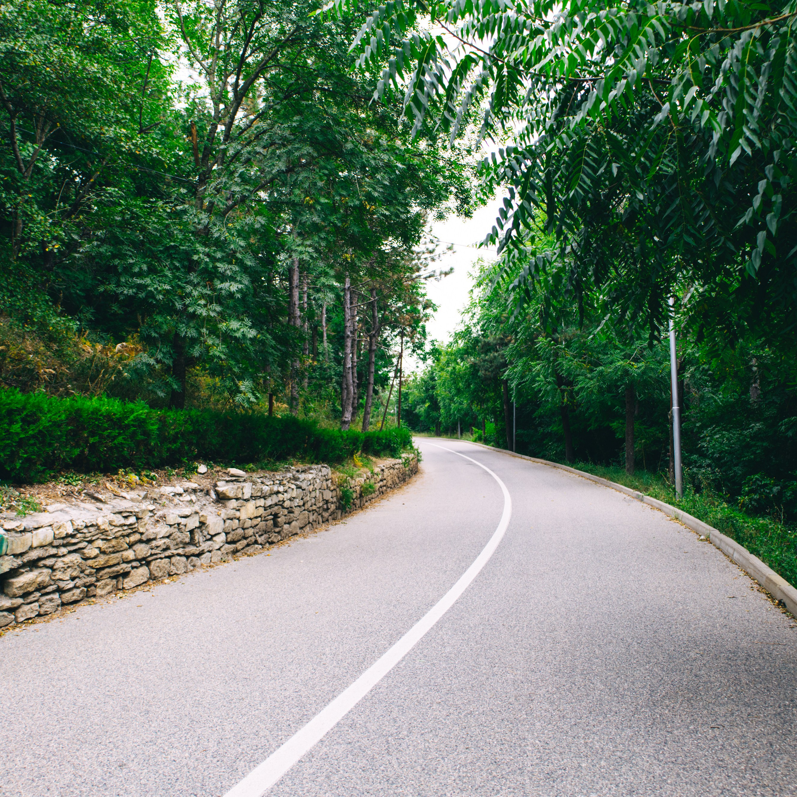 Обсерватория Шаджатмаз ★ Персеиды 11 — 13 августа 2023. Фотограф katya_vkadre Таганрог