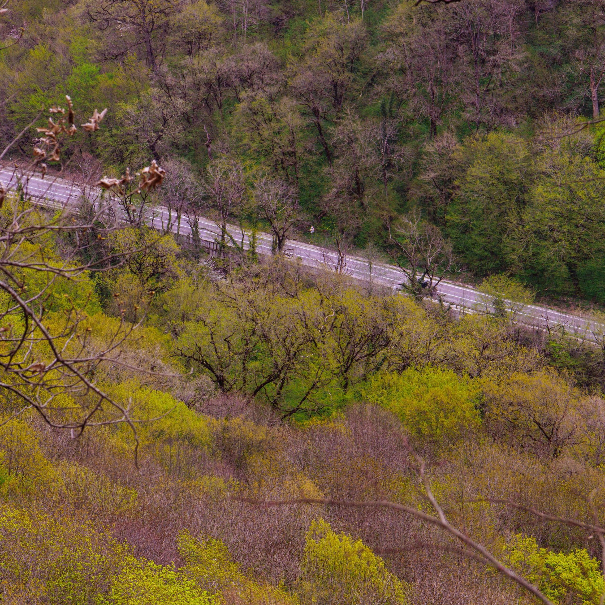 Адыгея. Водопады Руфабго 13.04.24. Фотограф katya_vkadre Таганрог