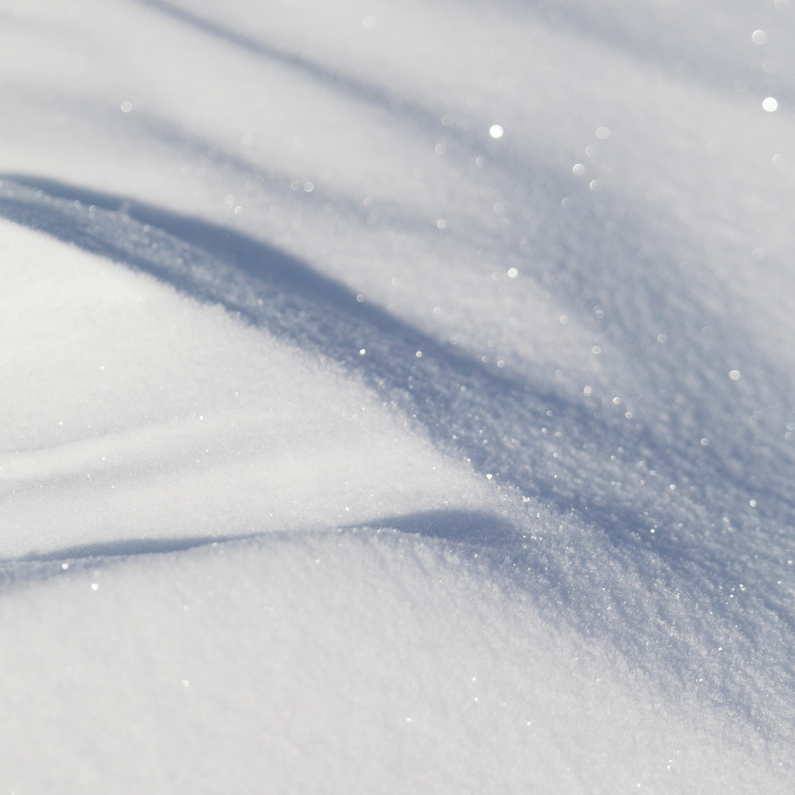 Адыгея. Лаго-Наки 27.01.24. Фотограф katya_vkadre Таганрог