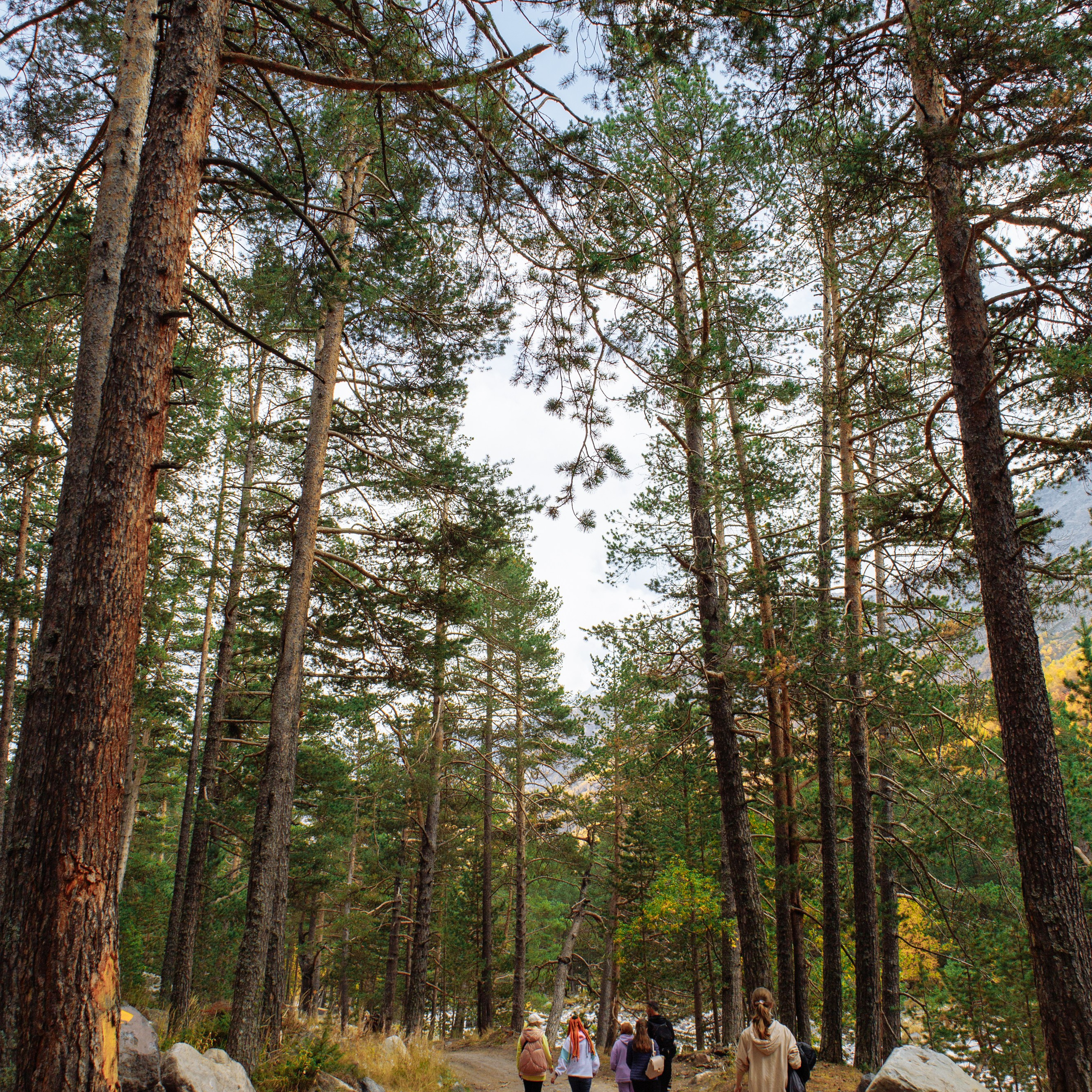 Приэльбрусье 30.09 — 01.10 2023. Фотограф katya_vkadre Таганрог