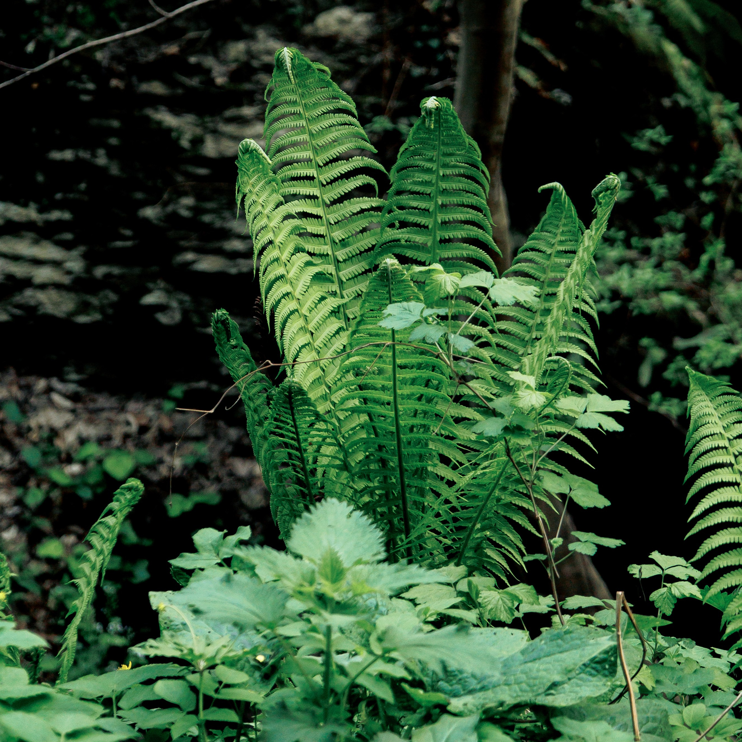Адыгея. Водопады Руфабго 13.04.24. Фотограф katya_vkadre Таганрог