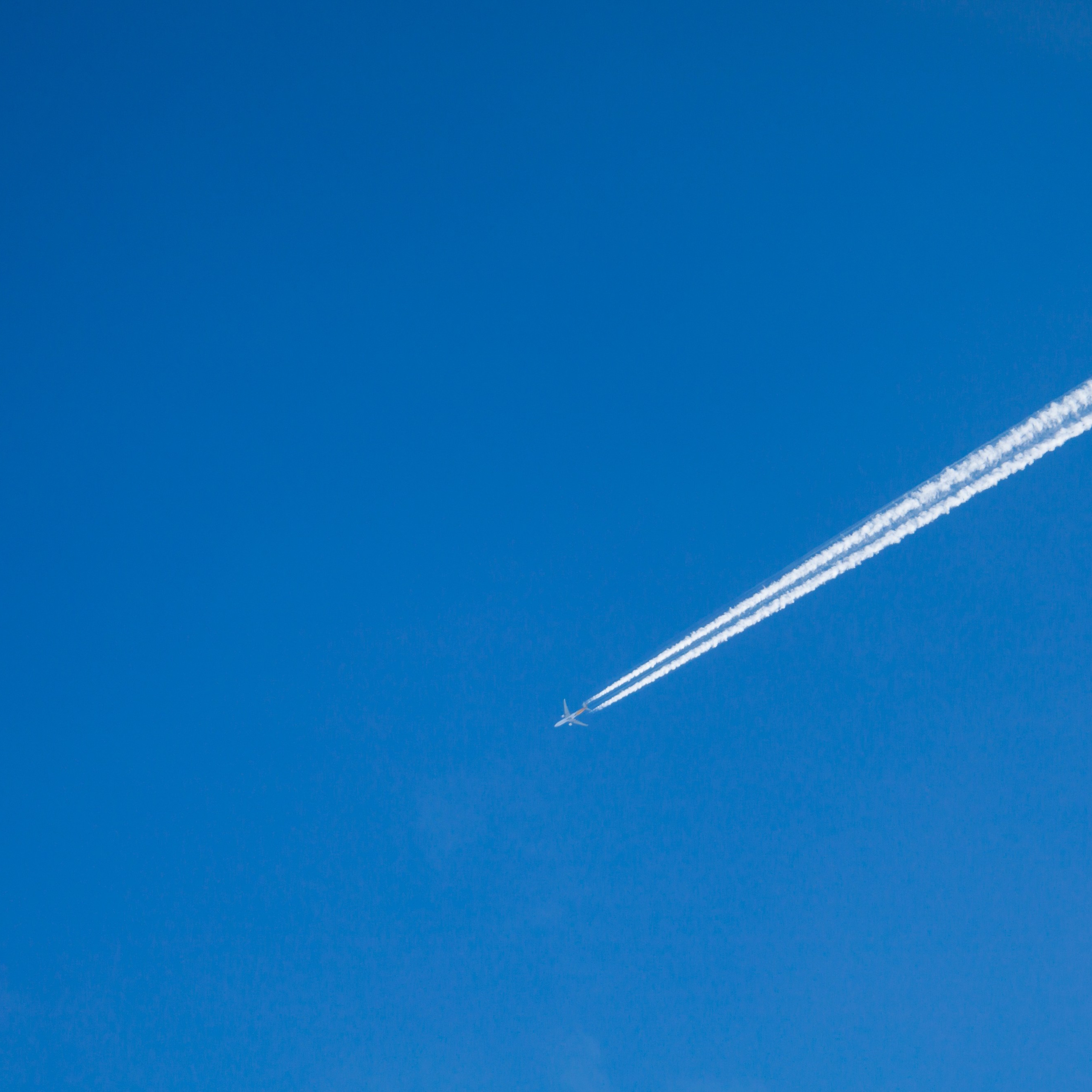 Адыгея. Лаго-Наки 27.01.24. Фотограф katya_vkadre Таганрог