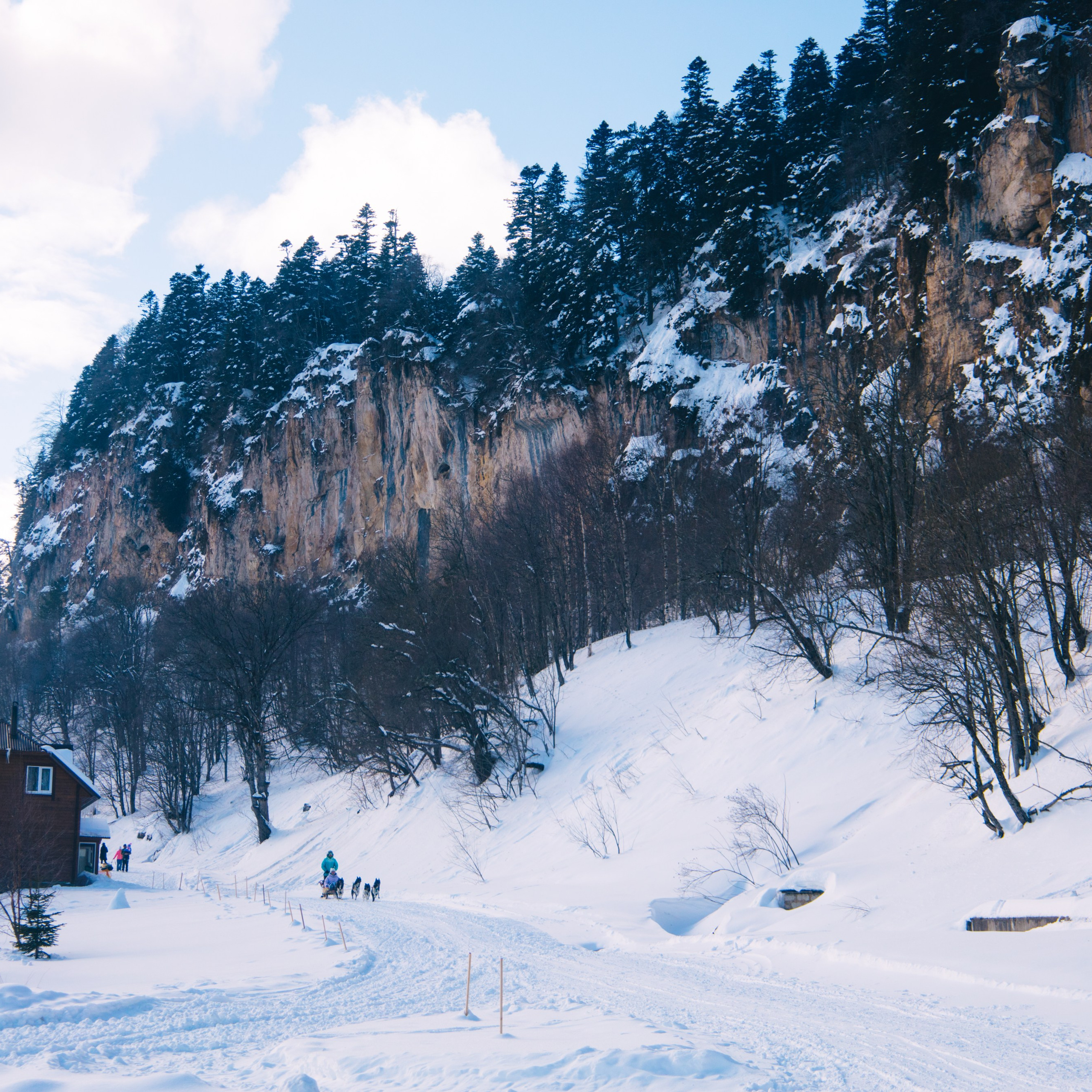Адыгея. Лаго-Наки 27.01.24. Фотограф katya_vkadre Таганрог