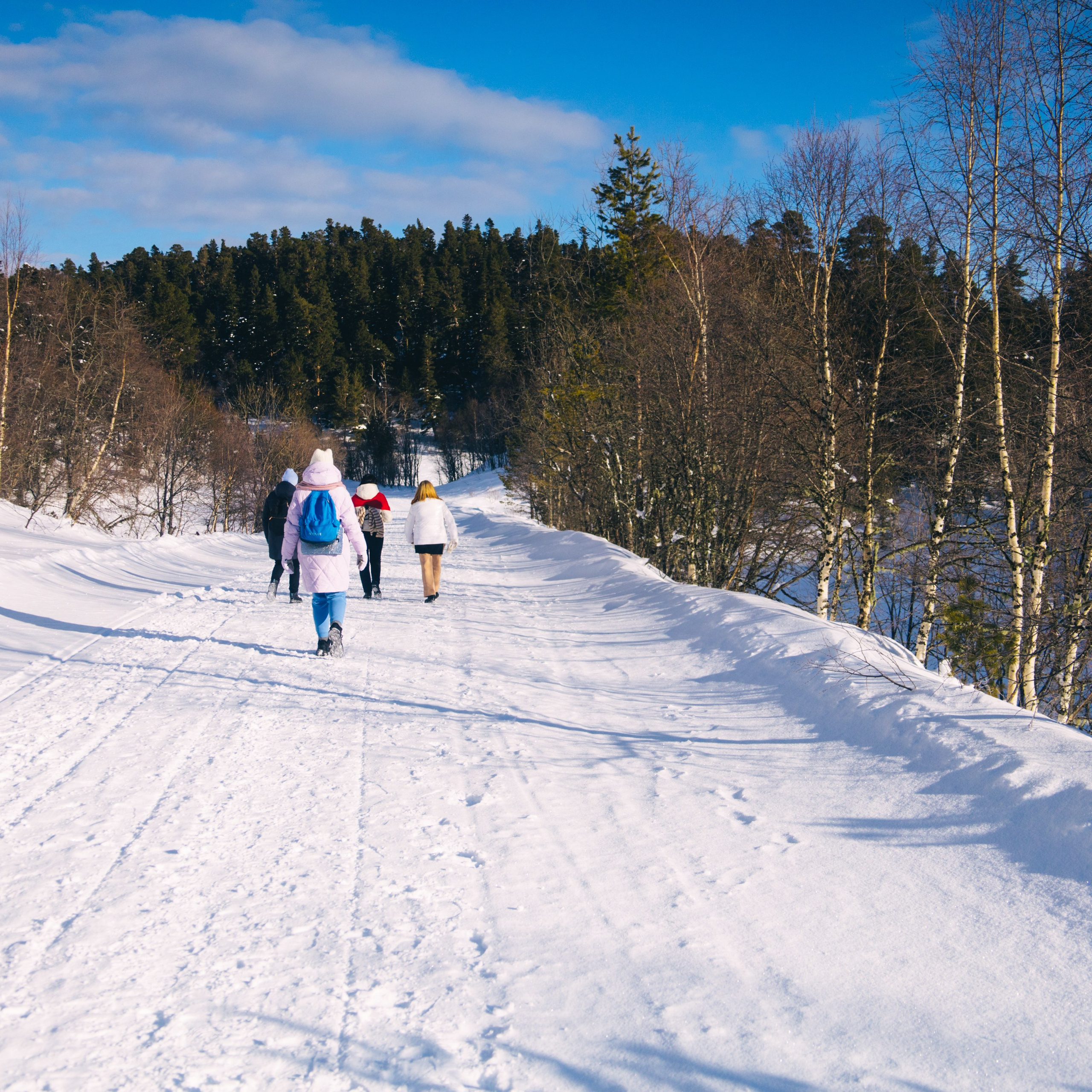Адыгея. Лаго-Наки 27.01.24. Фотограф katya_vkadre Таганрог