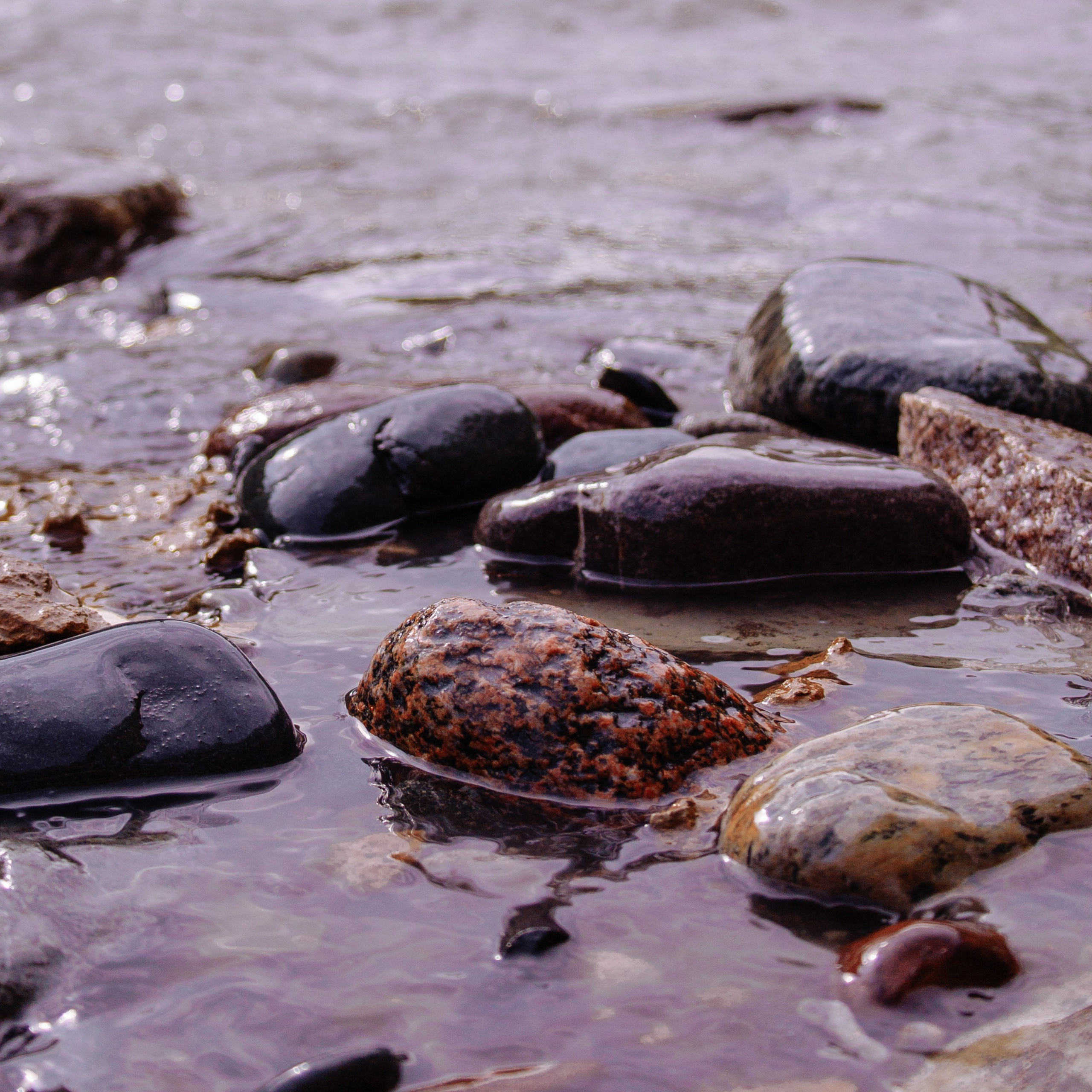 Адыгея. Водопады Руфабго 13.04.24. Фотограф katya_vkadre Таганрог