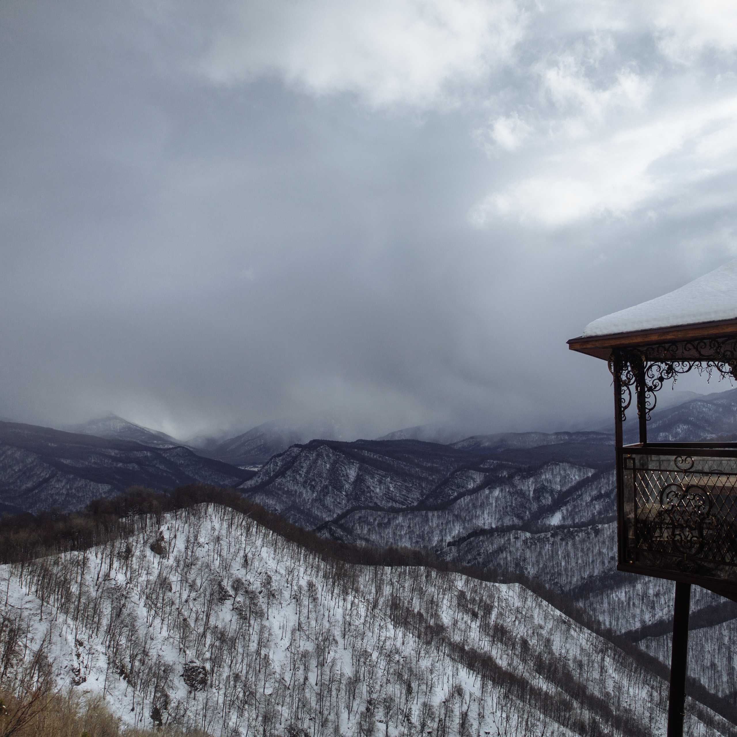 Адыгея. Лаго-Наки 27.01.24. Фотограф katya_vkadre Таганрог