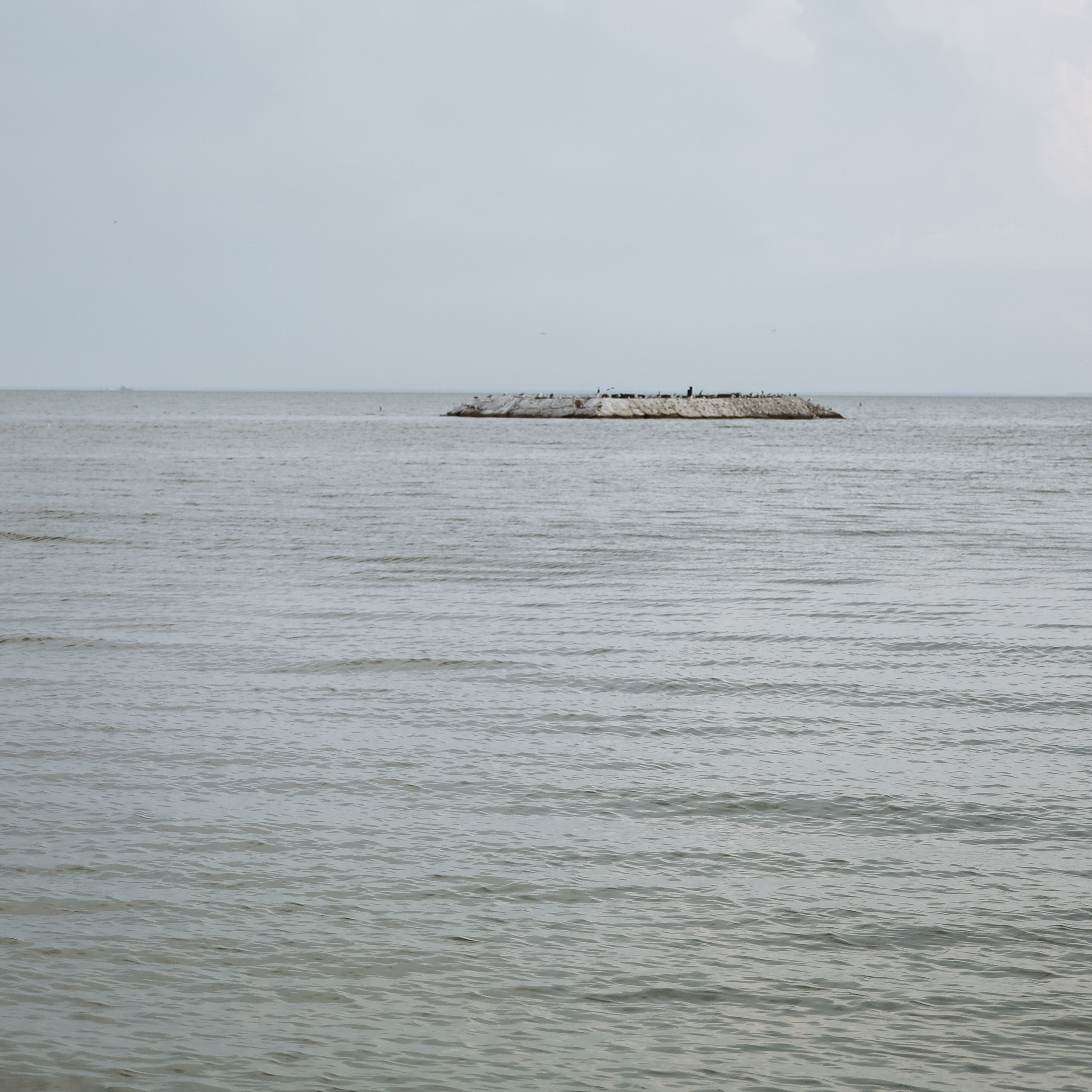 Фотосессия на день рождения. Фотограф katya_vkadre Таганрог