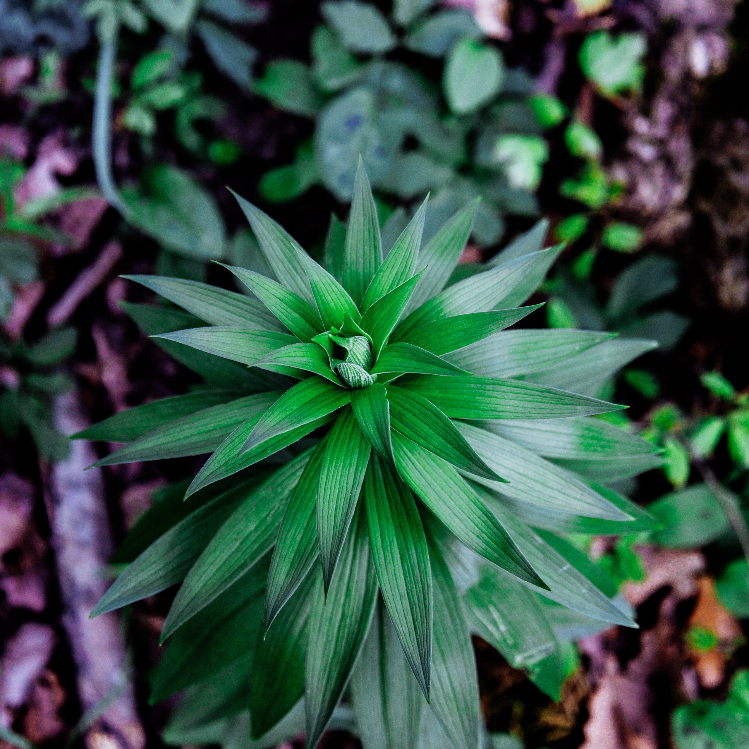 Адыгея. Водопады Руфабго 13.04.24. Фотограф katya_vkadre Таганрог