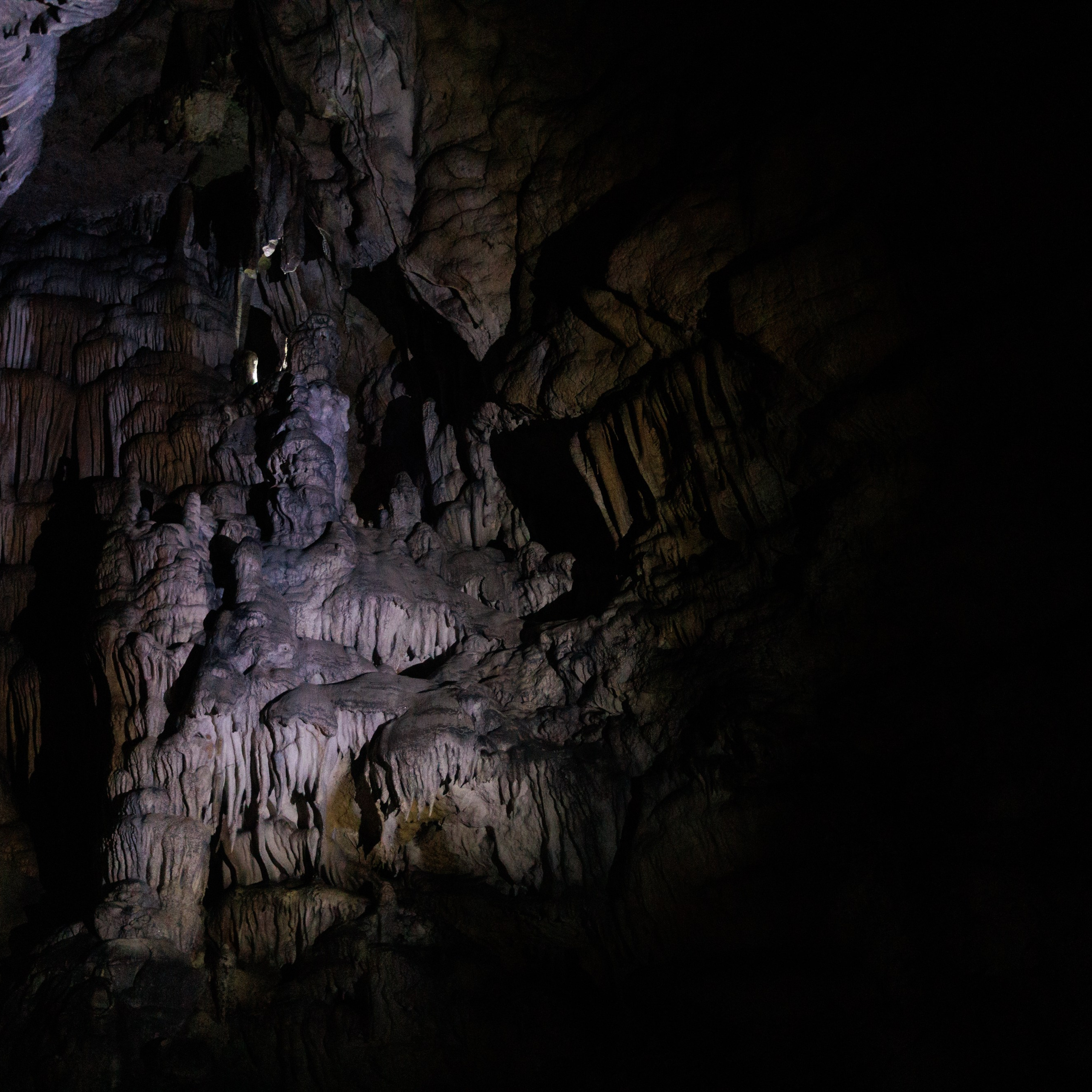 Адыгея. Лаго-Наки 27.01.24. Фотограф katya_vkadre Таганрог