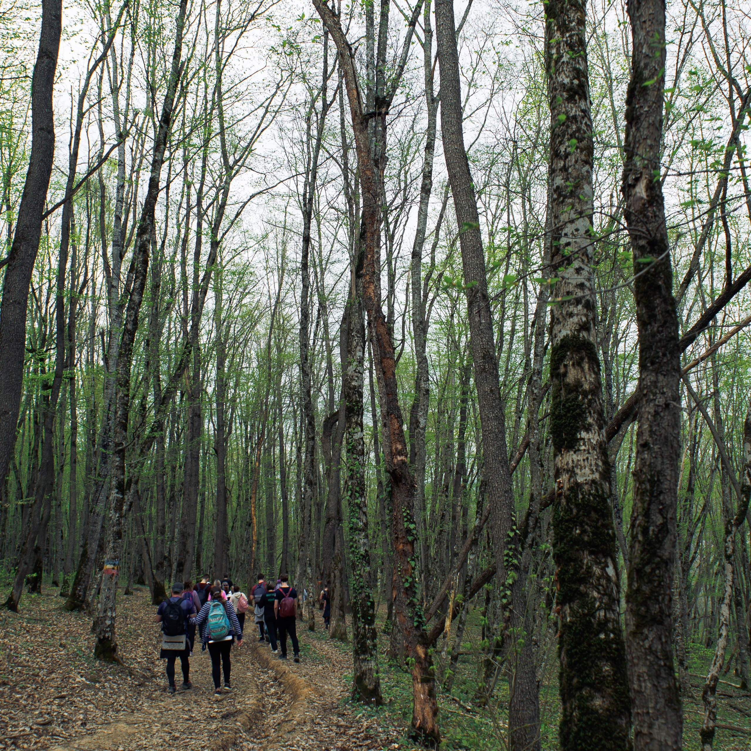 Адыгея. Водопады Руфабго 13.04.24. Фотограф katya_vkadre Таганрог