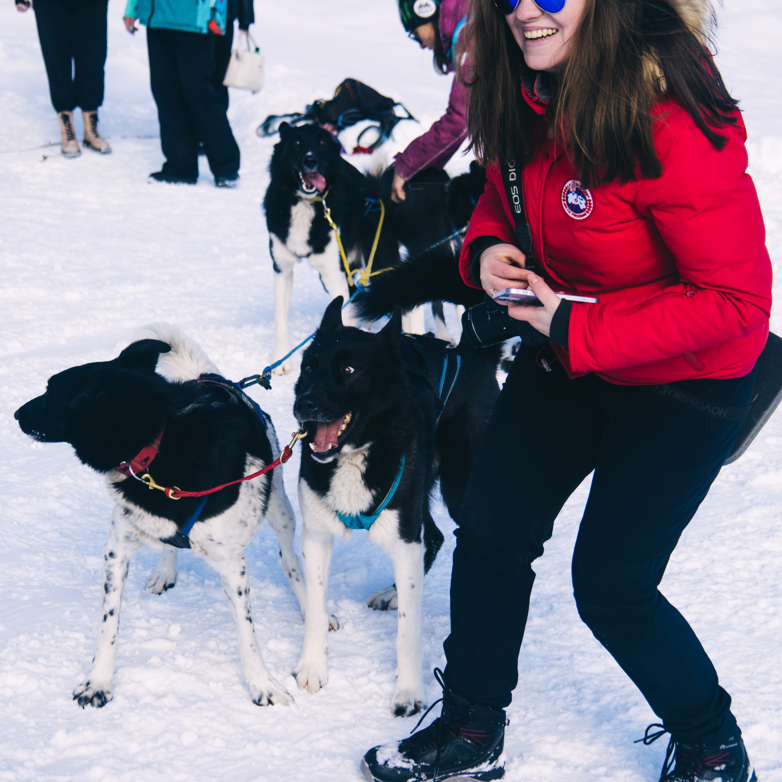 Адыгея. Лаго-Наки 27.01.24. Фотограф katya_vkadre Таганрог