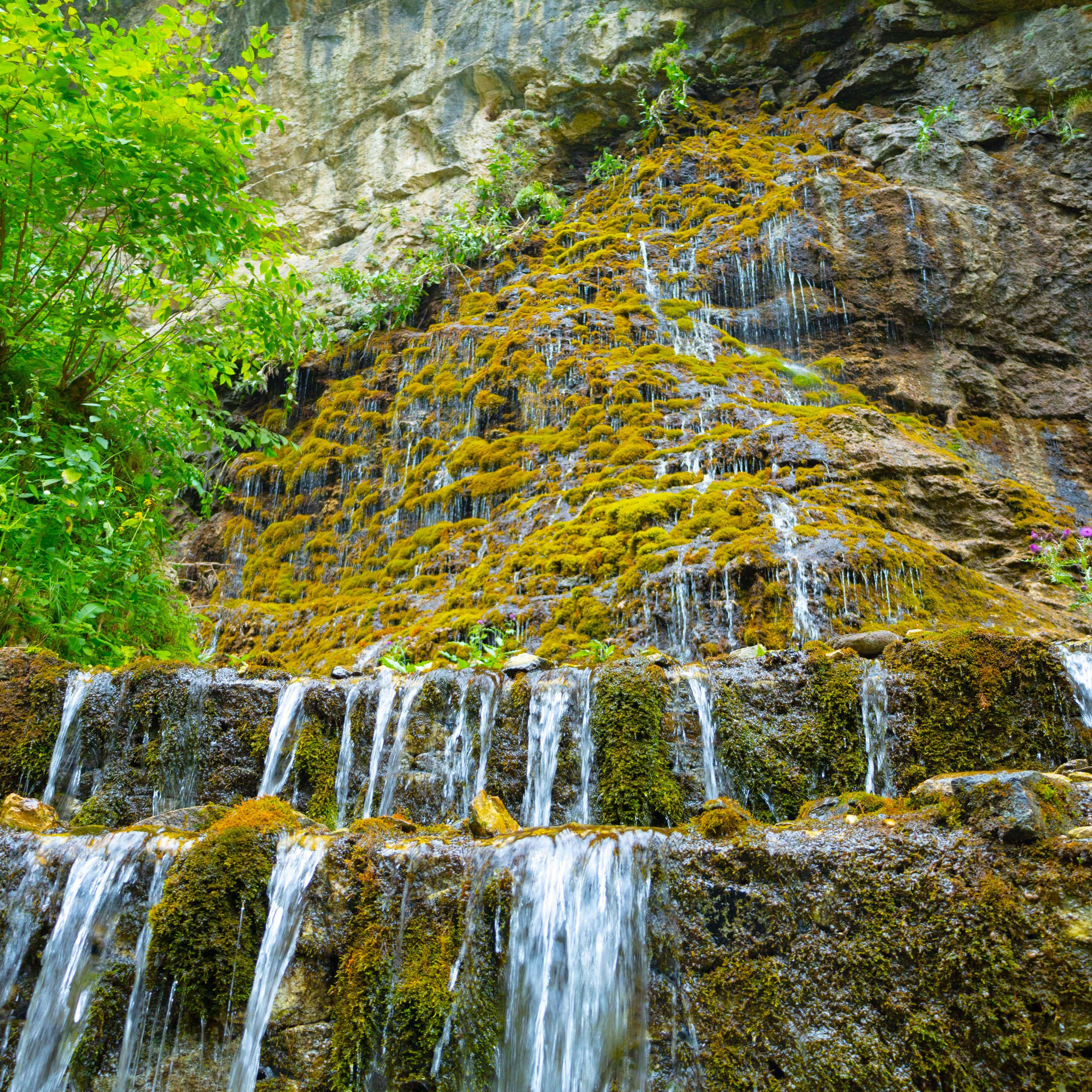 Обсерватория Шаджатмаз ★ Персеиды 11 — 13 августа 2023. Фотограф katya_vkadre Таганрог