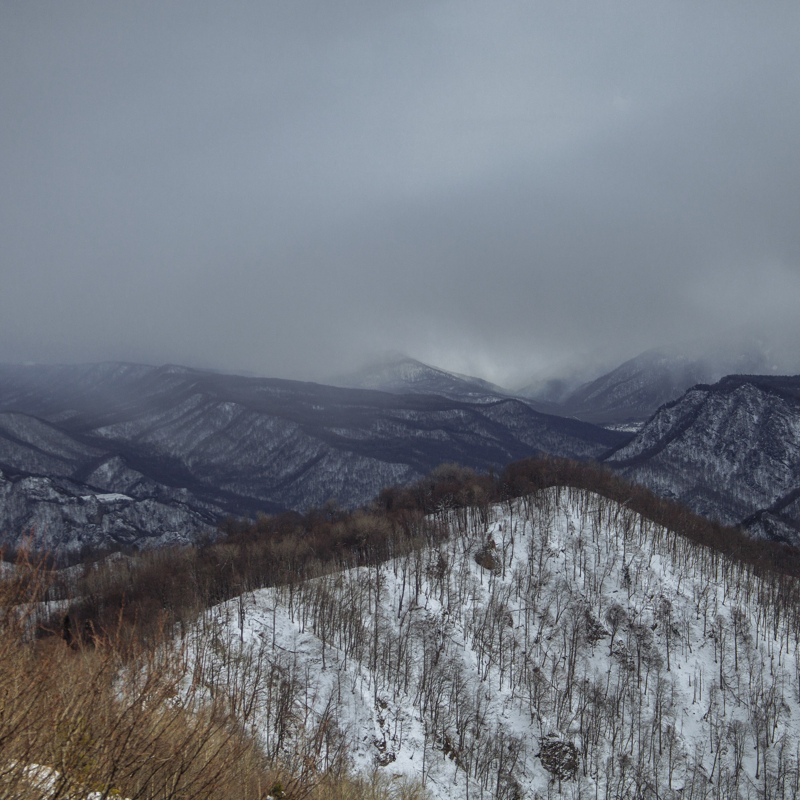 Адыгея. Лаго-Наки 27.01.24. Фотограф katya_vkadre Таганрог