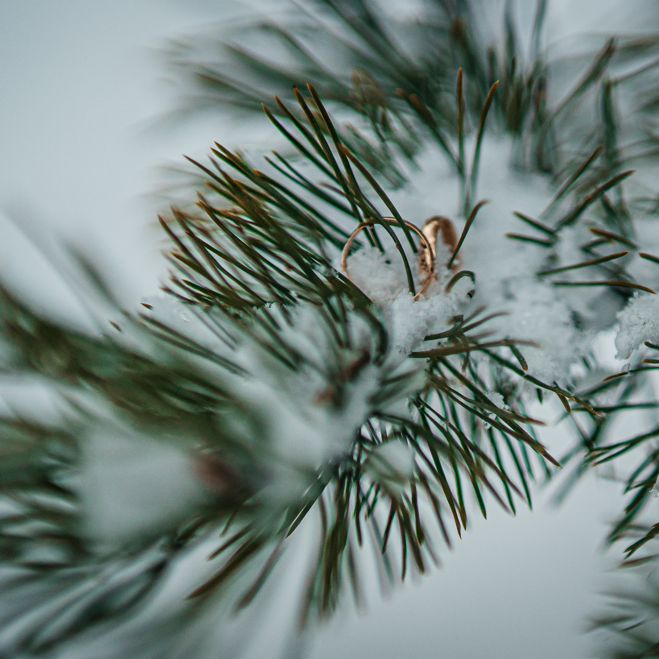 Отзывы. Фотограф Ангарск Иркутск Ксения Король