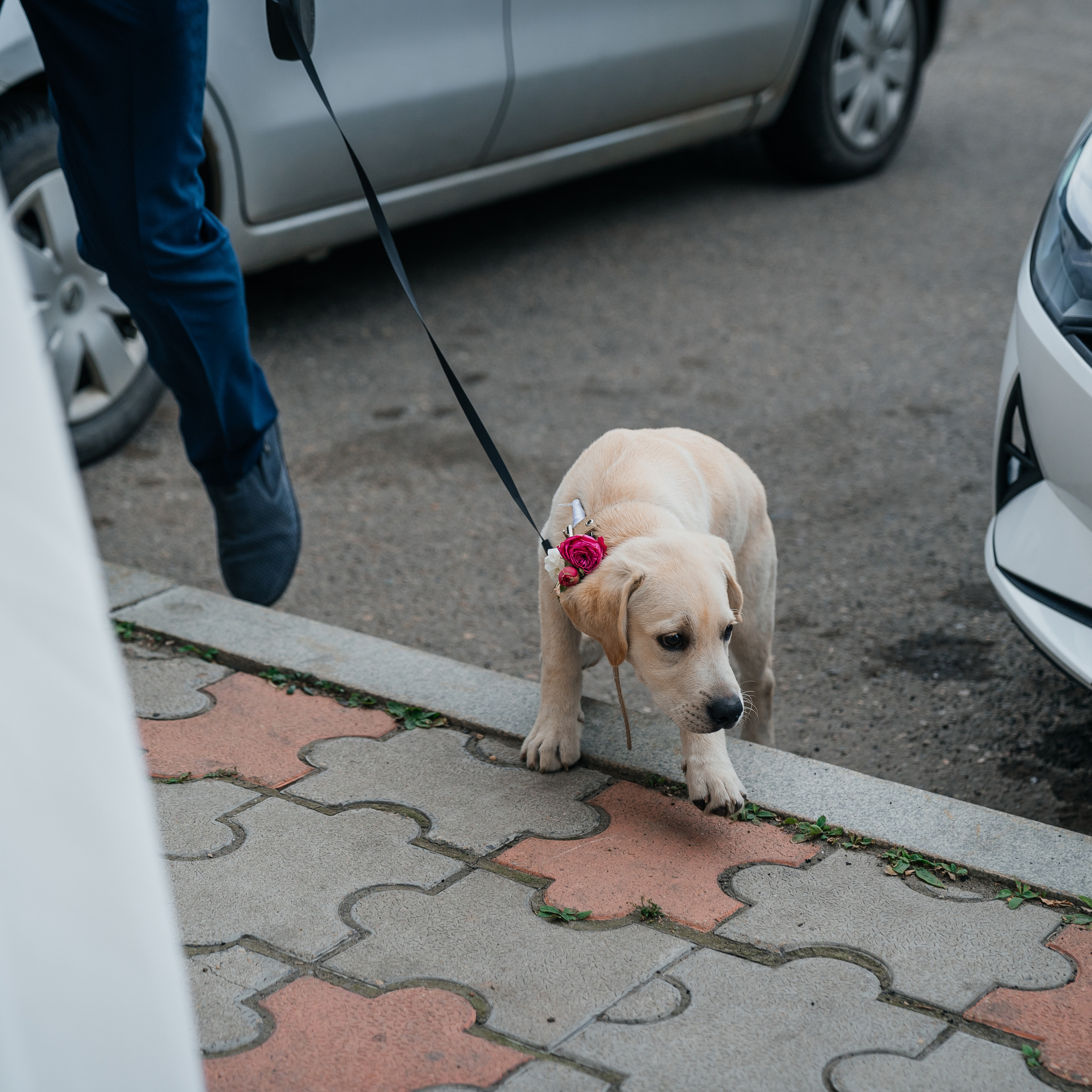 Отзывы. Фотограф Ангарск Иркутск Ксения Король