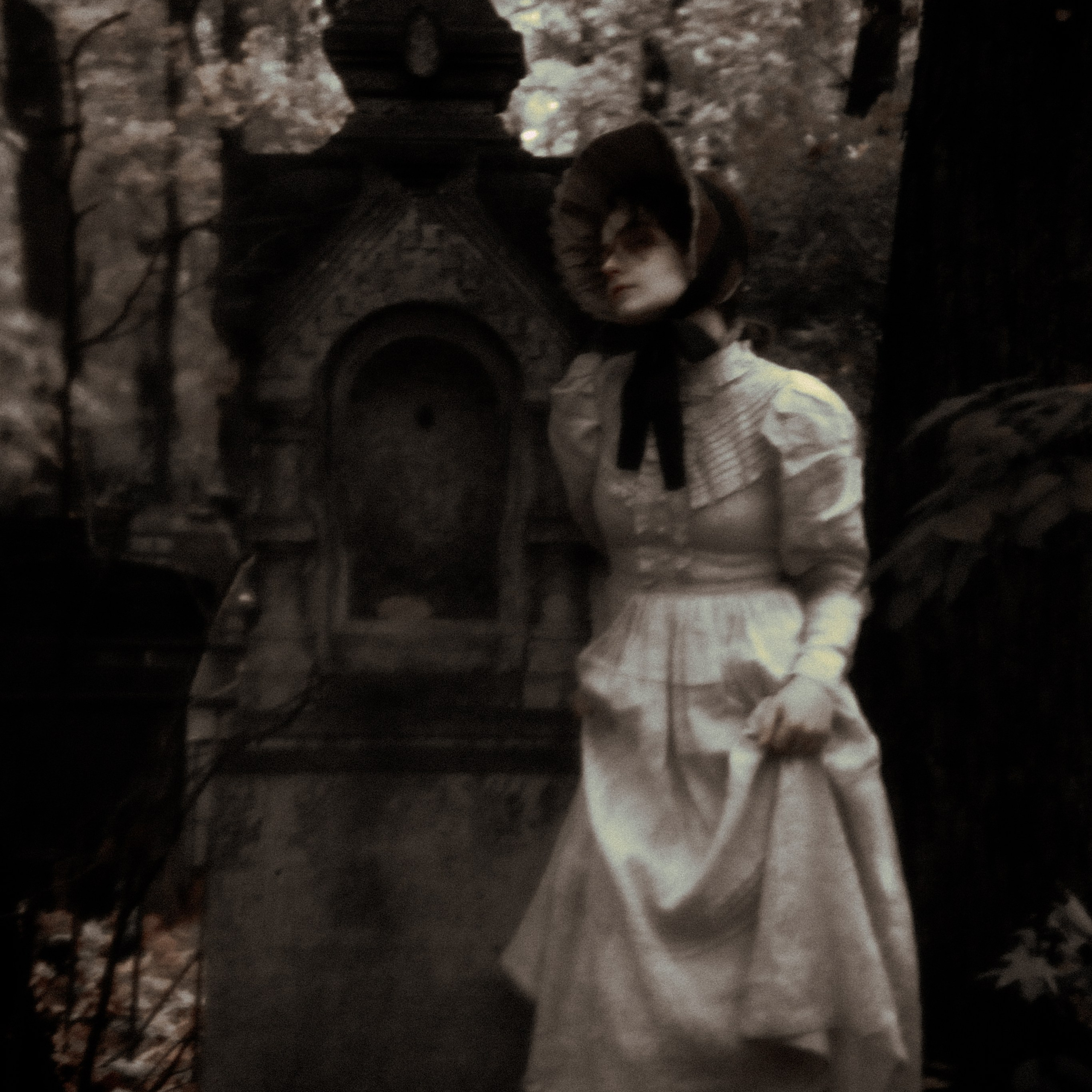 Паулина и Штейн