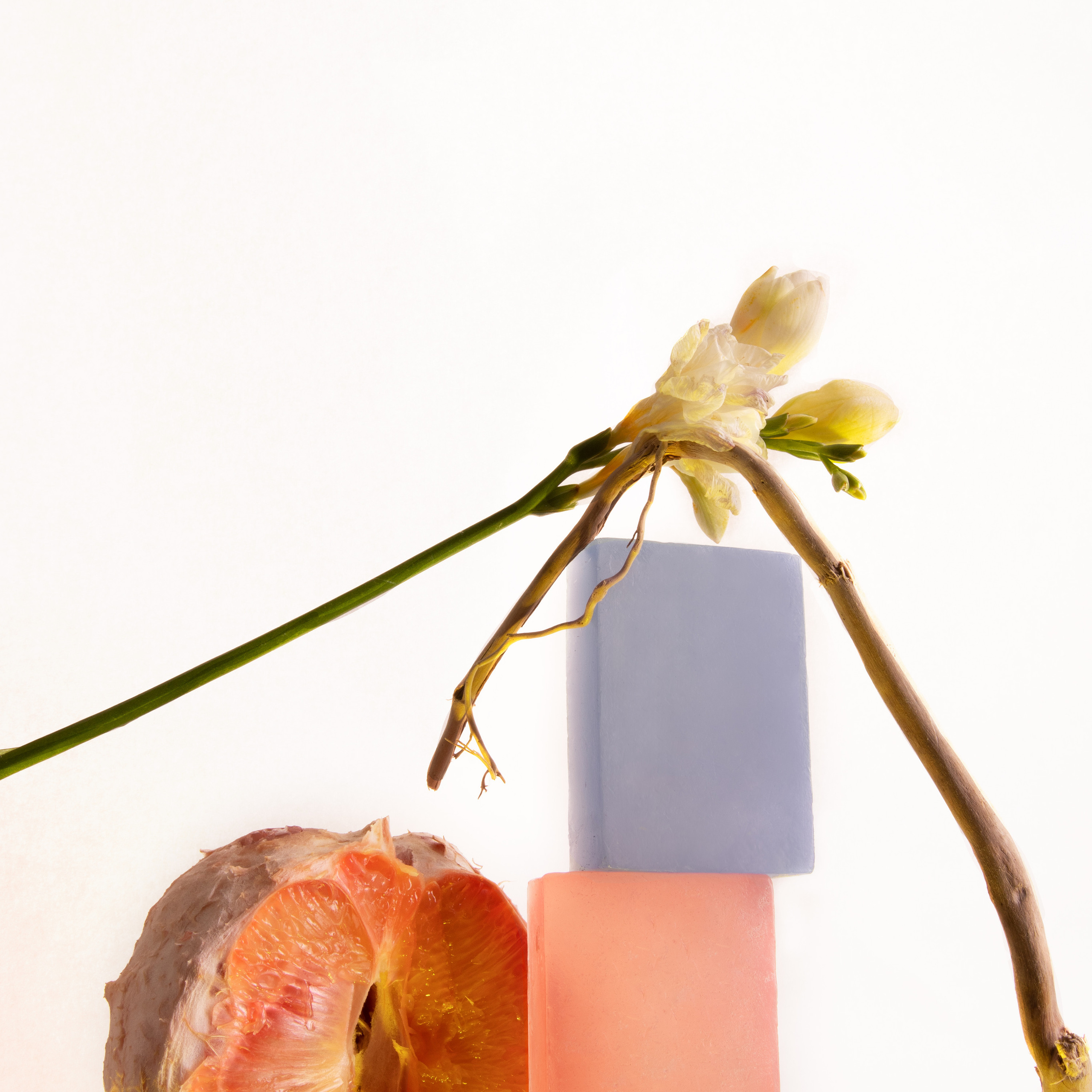 Мыло сalmpower_concept