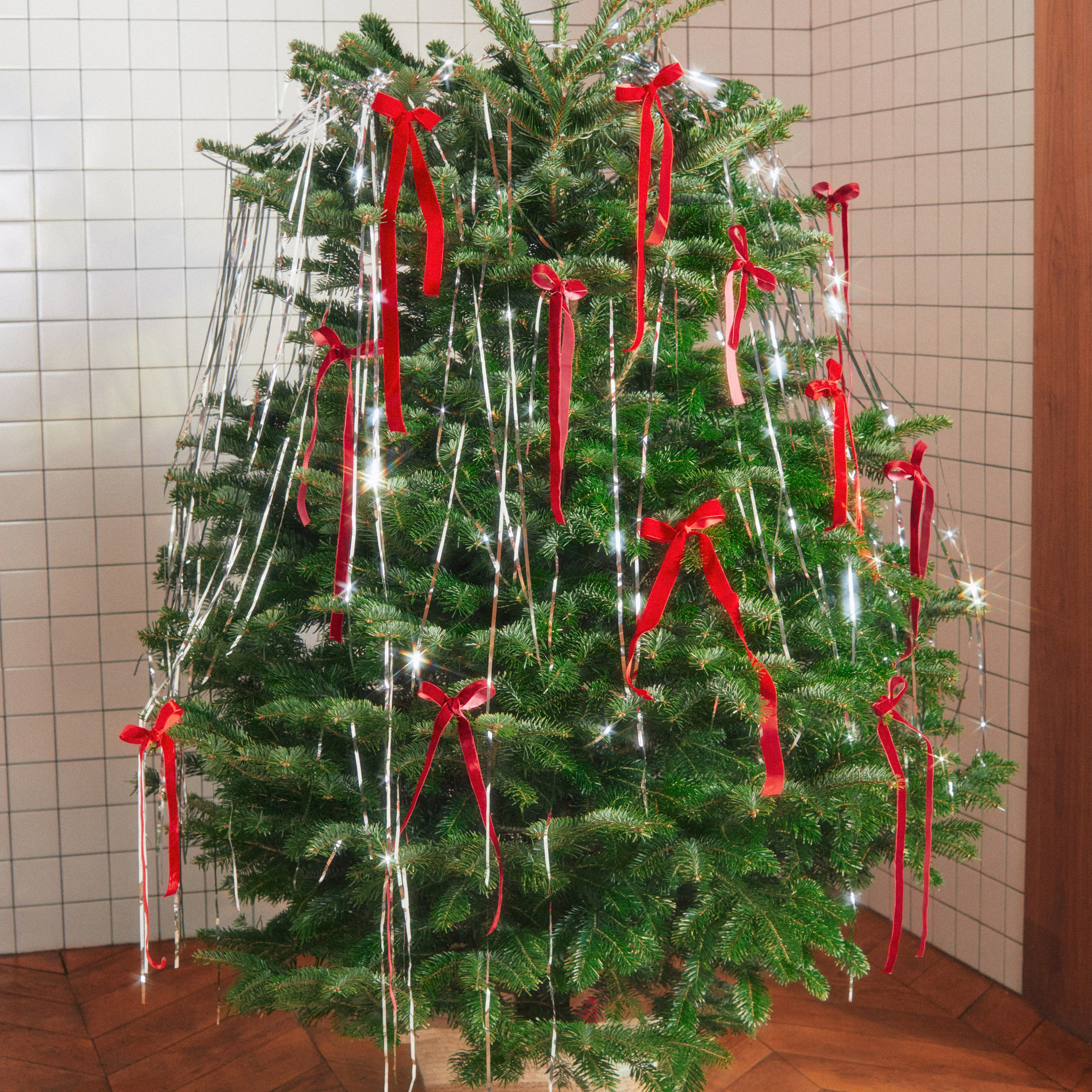 Господин Ëлкин