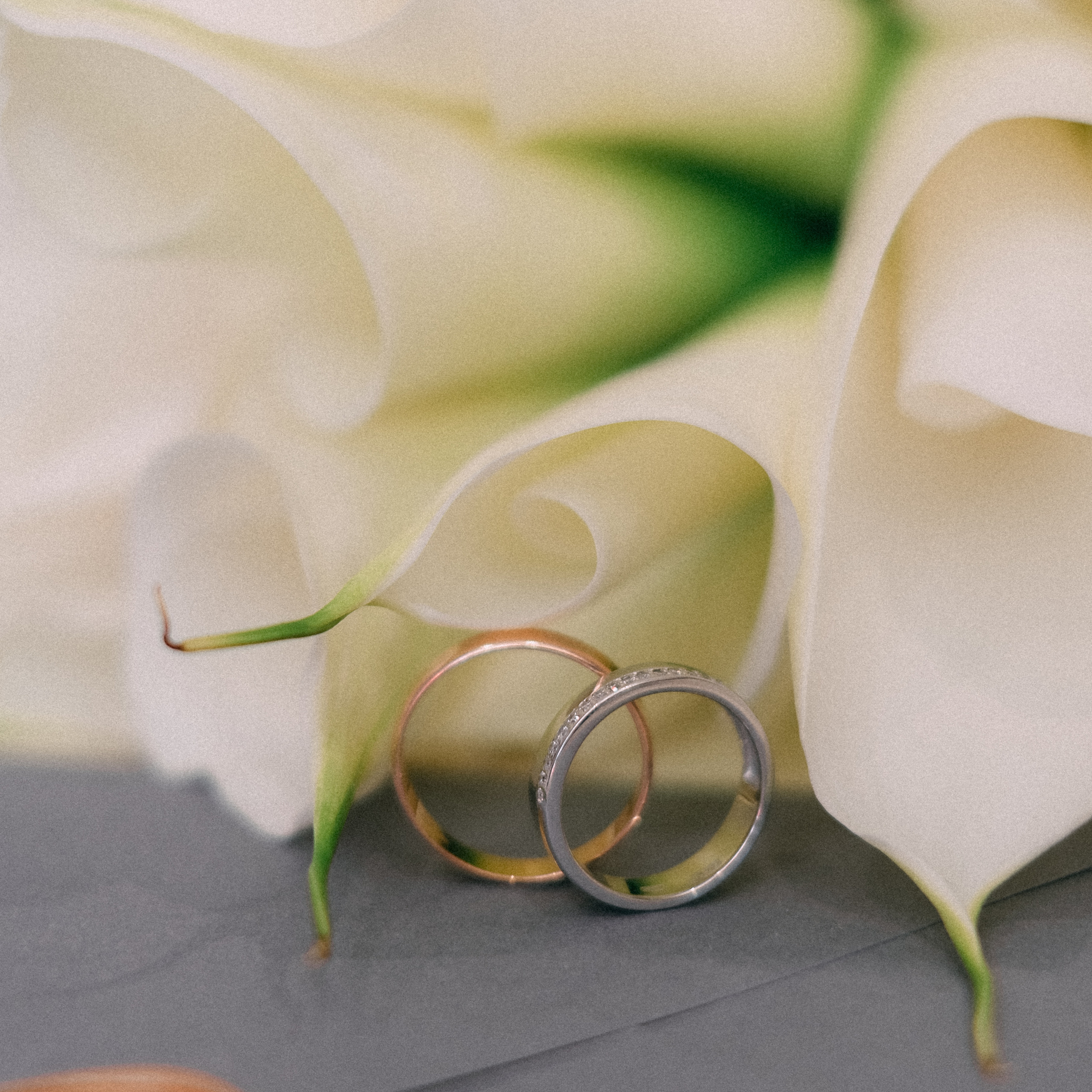 Виталий+Анна