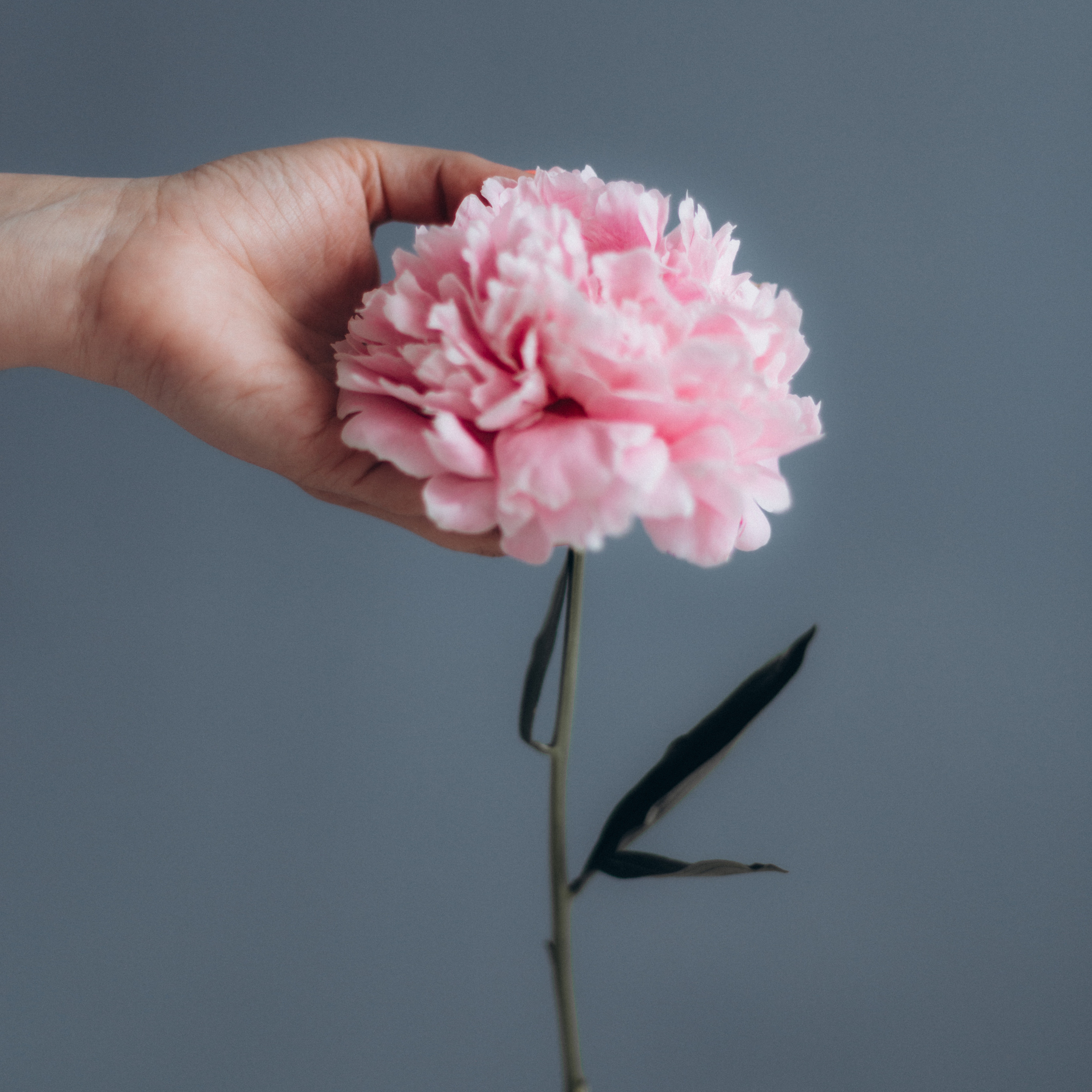 Отзывы. Детский и семейный фотограф, Newborn фотограф новорожденных г. Челябинск