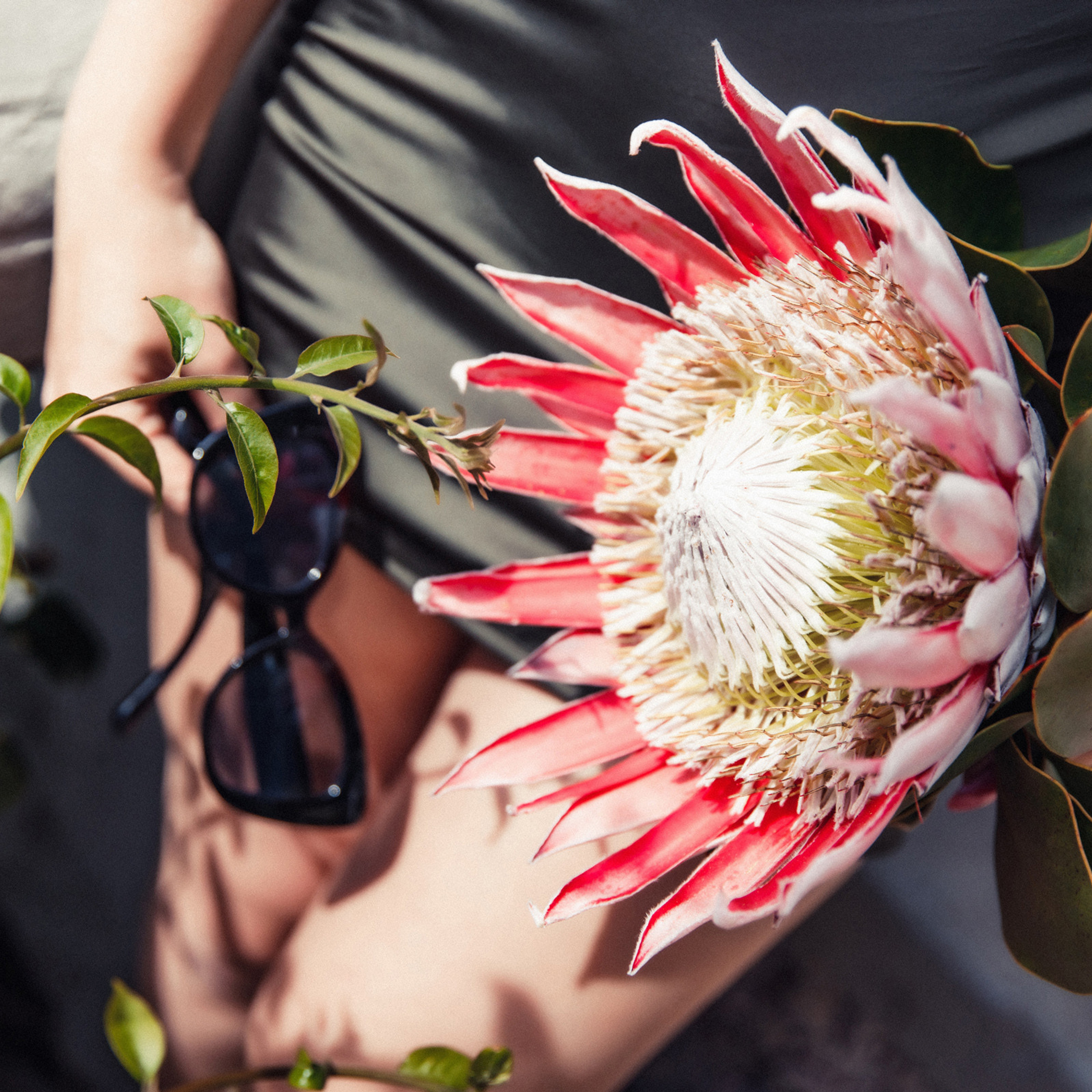 Zhenya. Funchal. Madeira