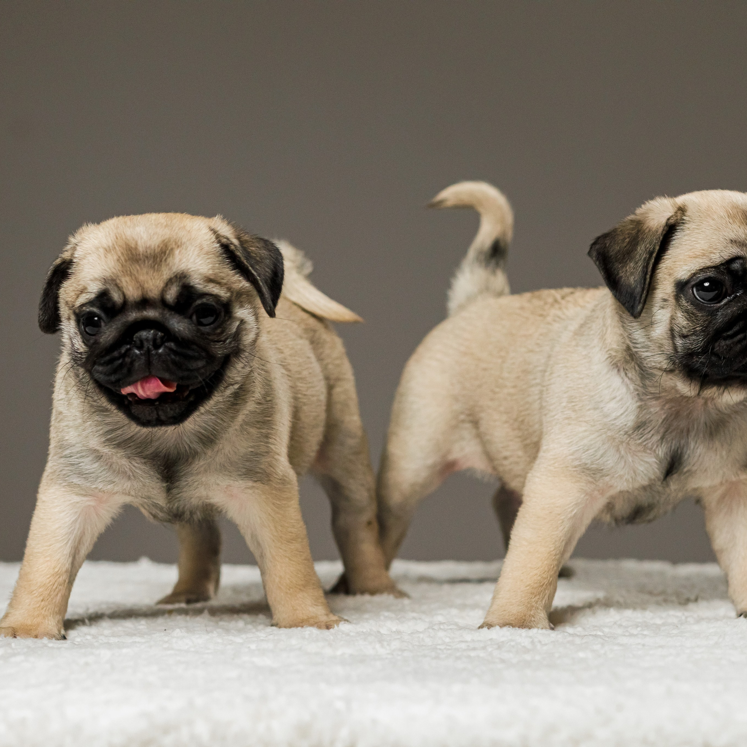 Отзывы прошлых фотосессий. Детский и семейный фотограф Эльвира Воронина Удомля Тверь