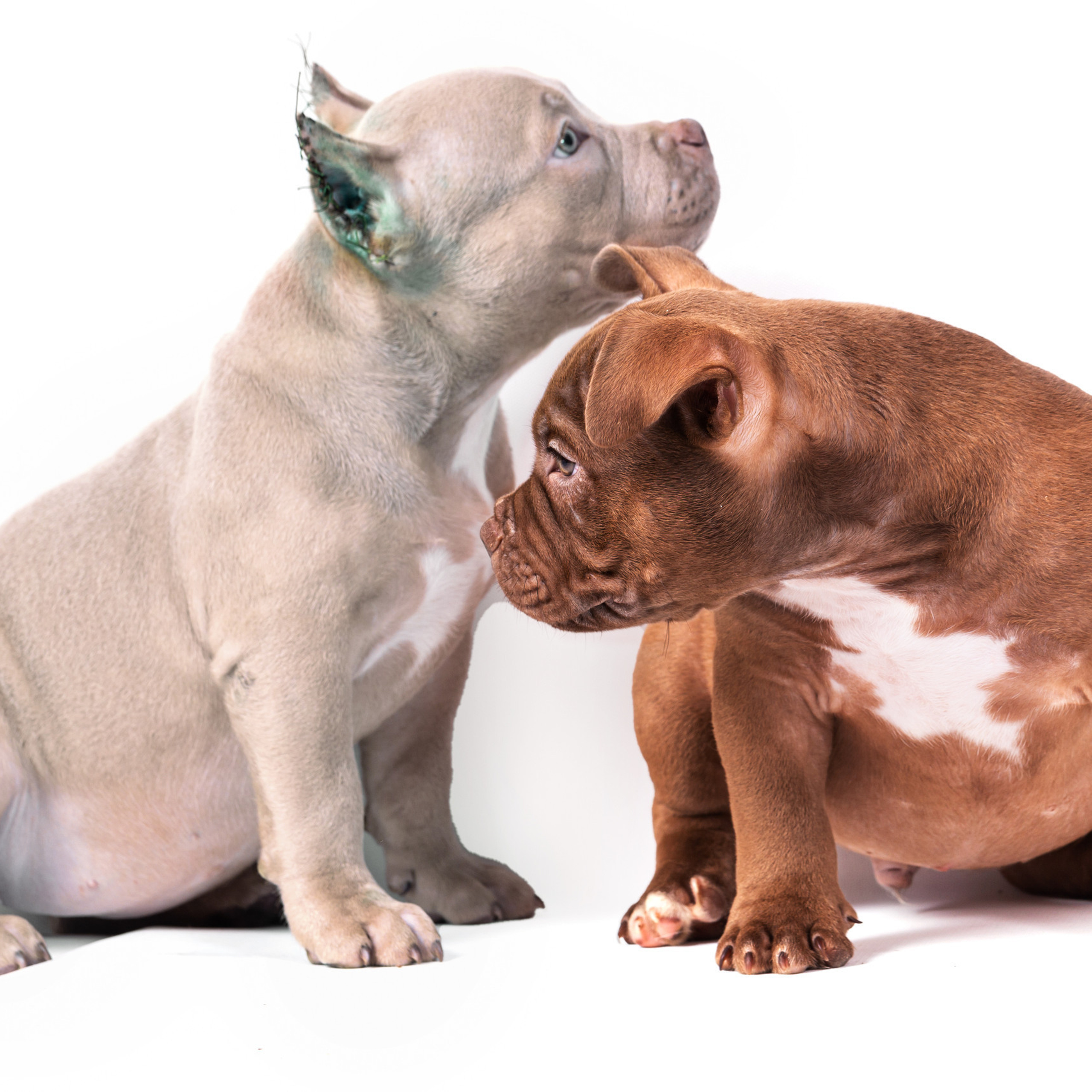 Отзывы. Актерское и модельное портфолио. Фотограф в Москве Екатерина Коломеец