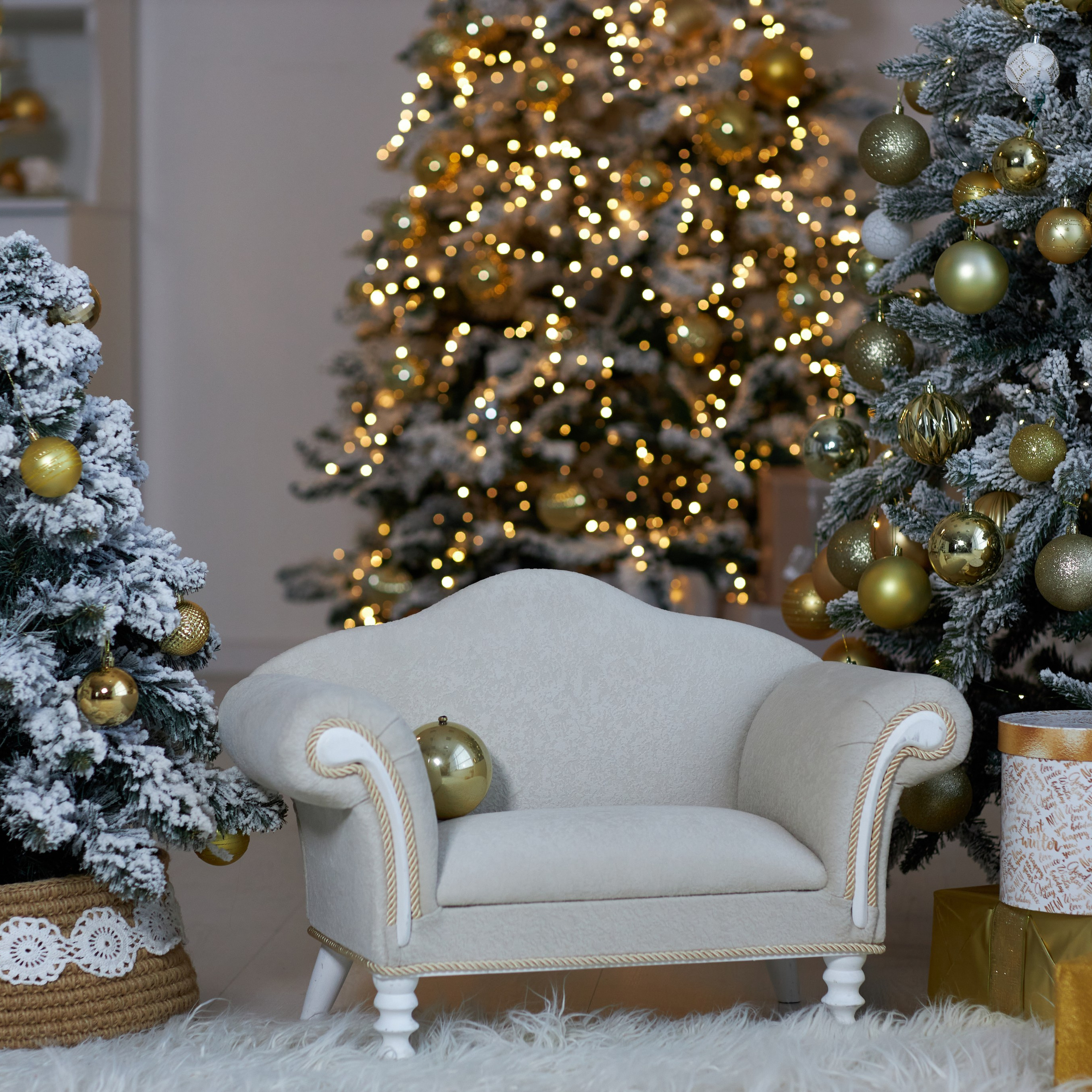 Отзывы. Фото видео съёмка в Белой Калитве дуэт Герман и Инна