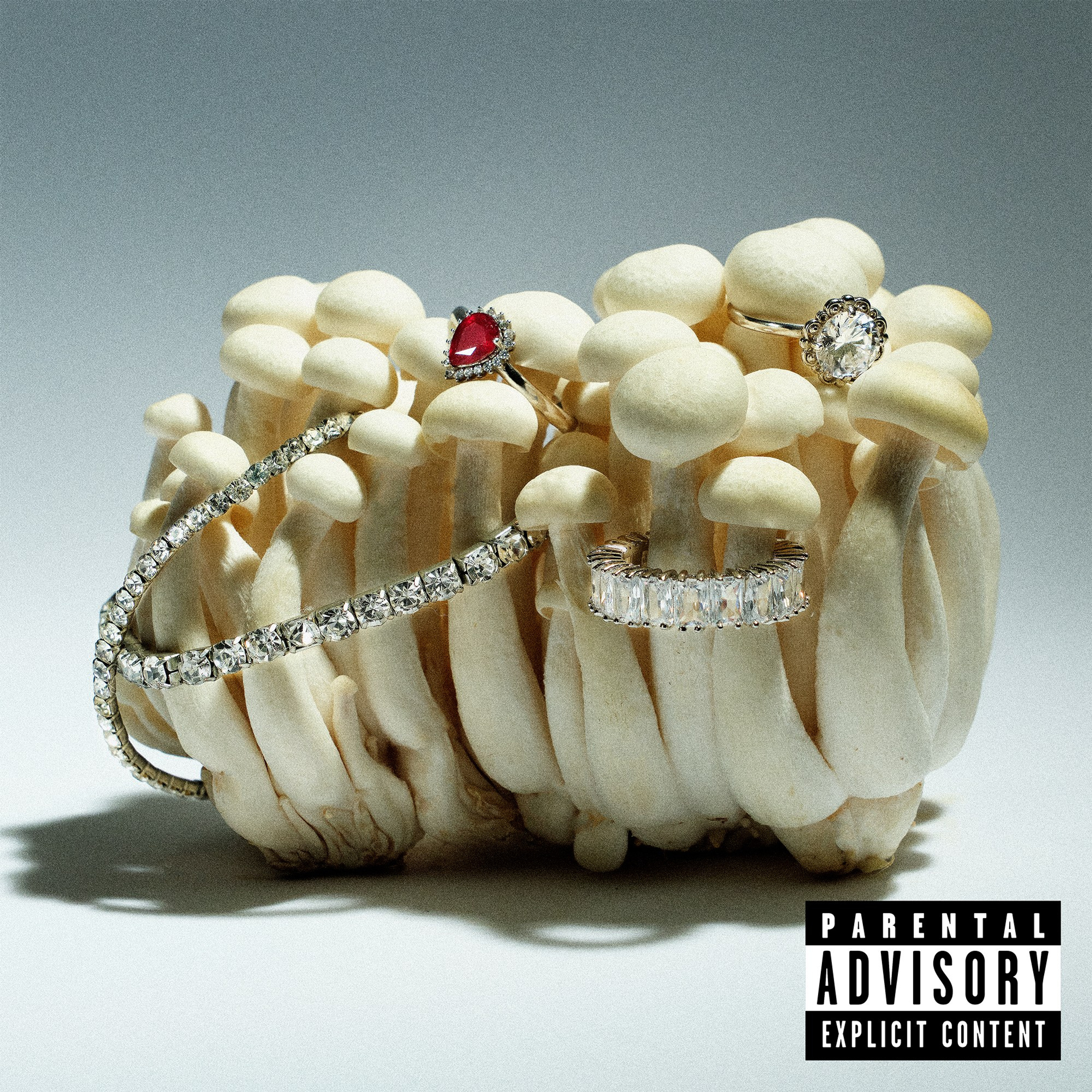 Тренды в фотографии в 2025 году. Предметный фотограф Дарья Штерн из Санкт-Петербурга