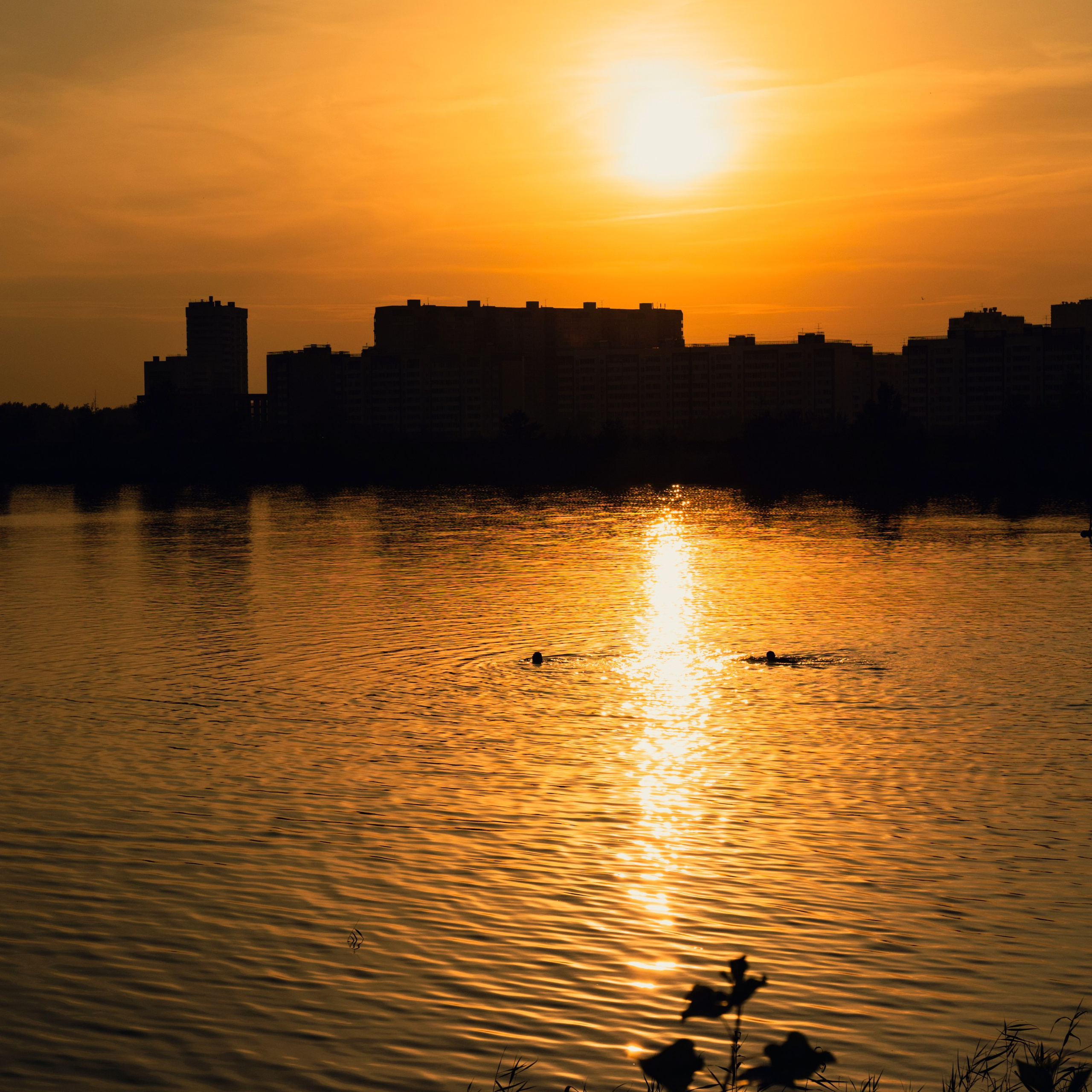 Отзывы. Предметный фотограф/видеограф Алексей Филатов, г. Тюмень