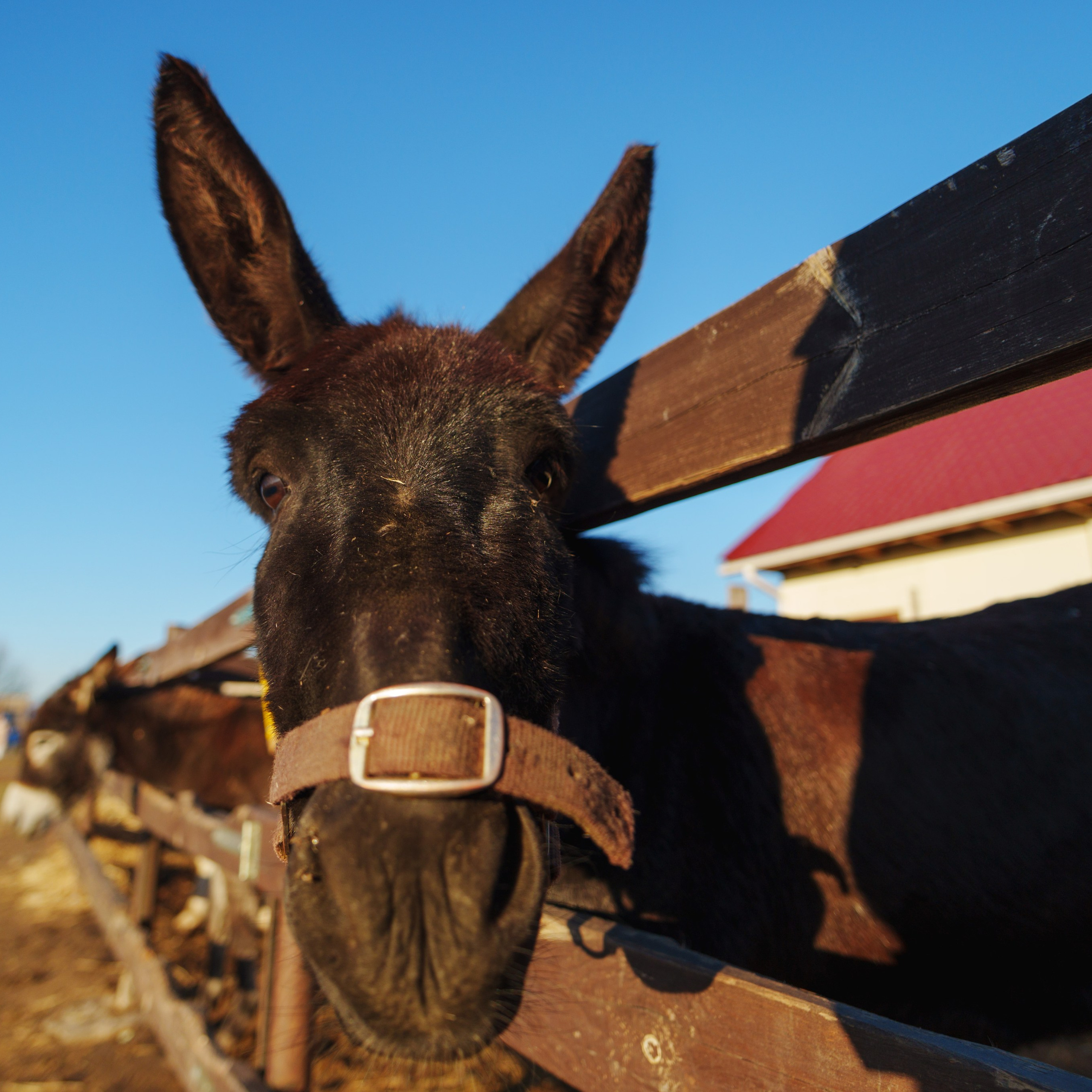 Отзывы. Предметный фотограф/видеограф Алексей Филатов, г. Тюмень