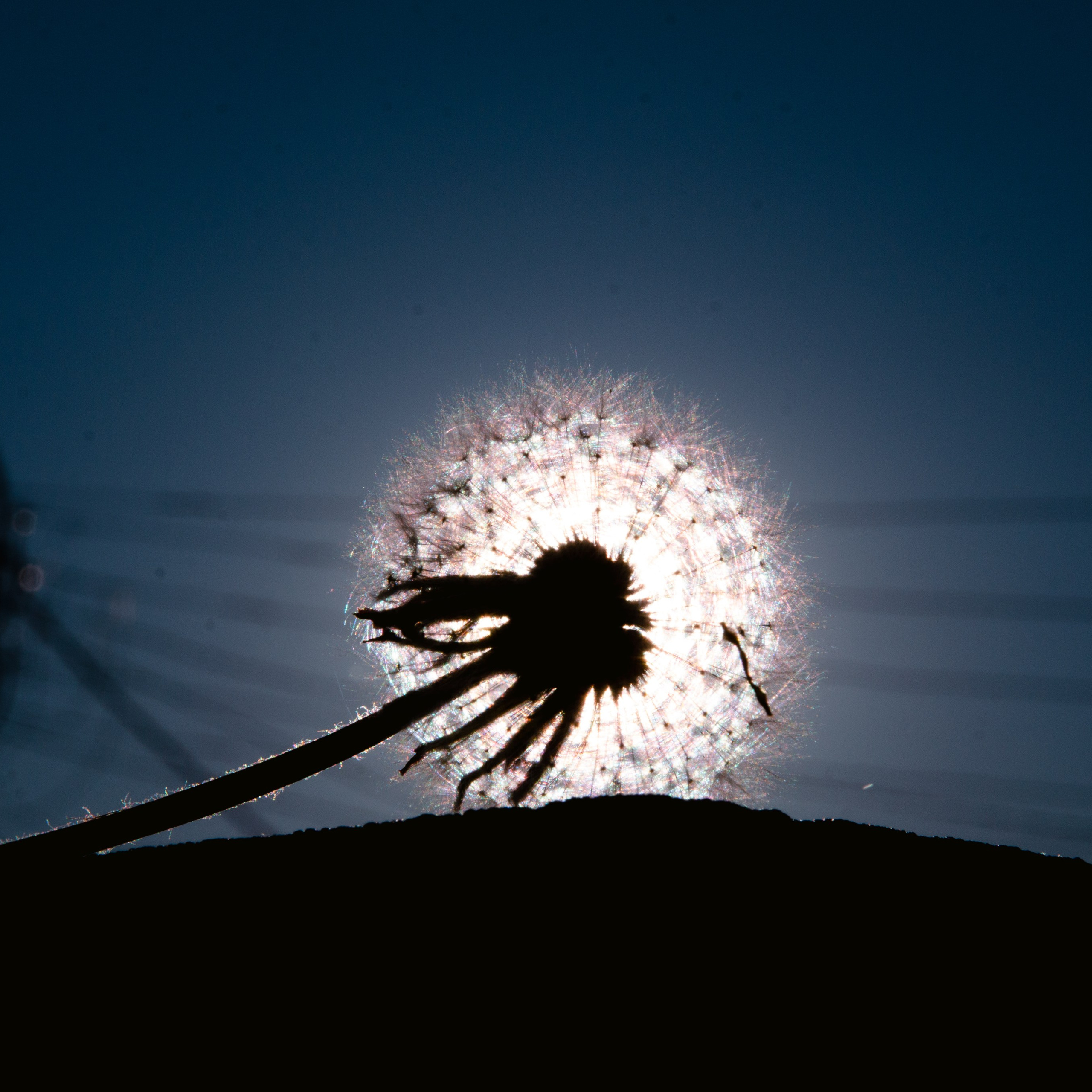 Случайные снимки