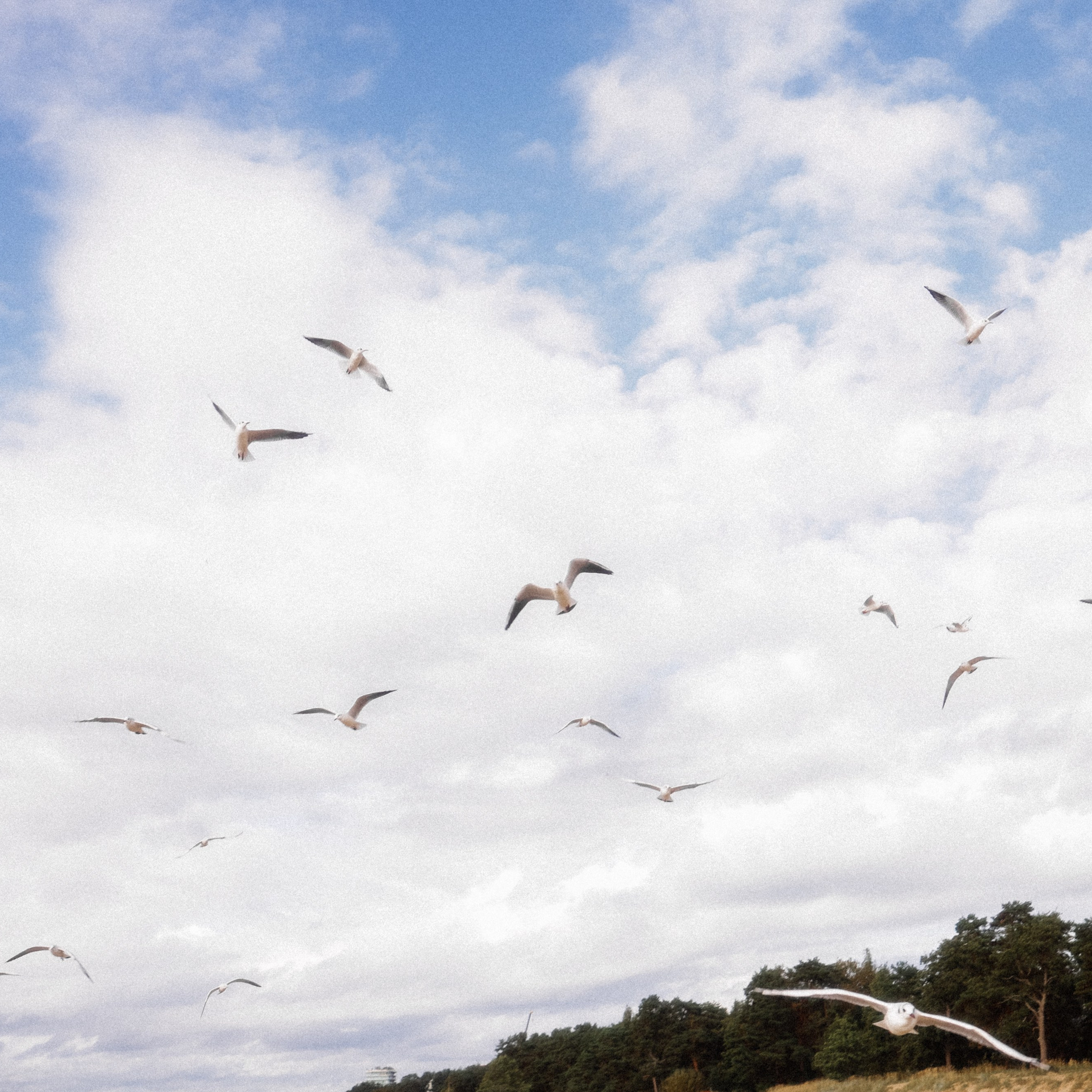Паша и Света. Семейный свадебный фотограф Семен Егоров