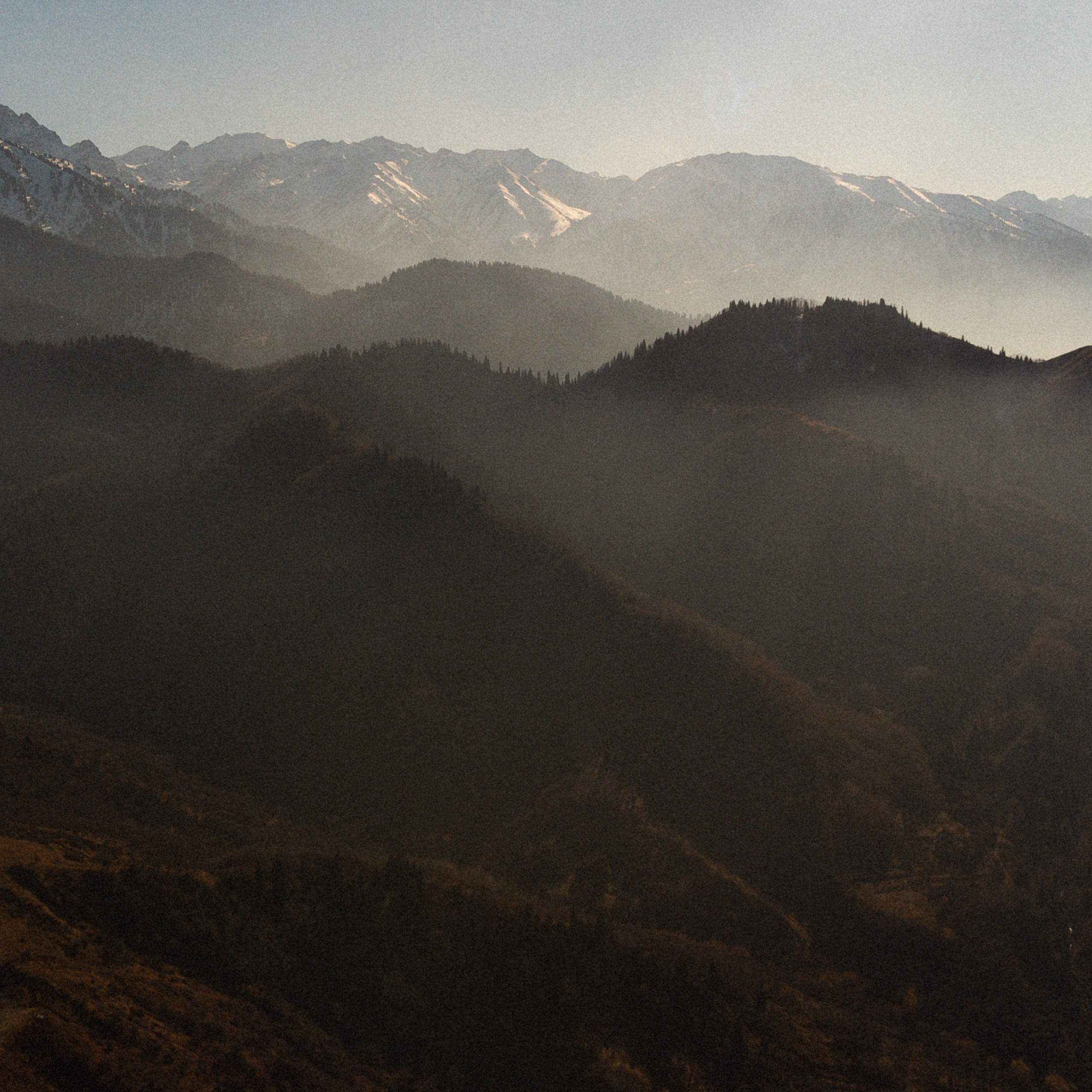 Юля и Алик (Алматы). Семейный свадебный фотограф Семен Егоров