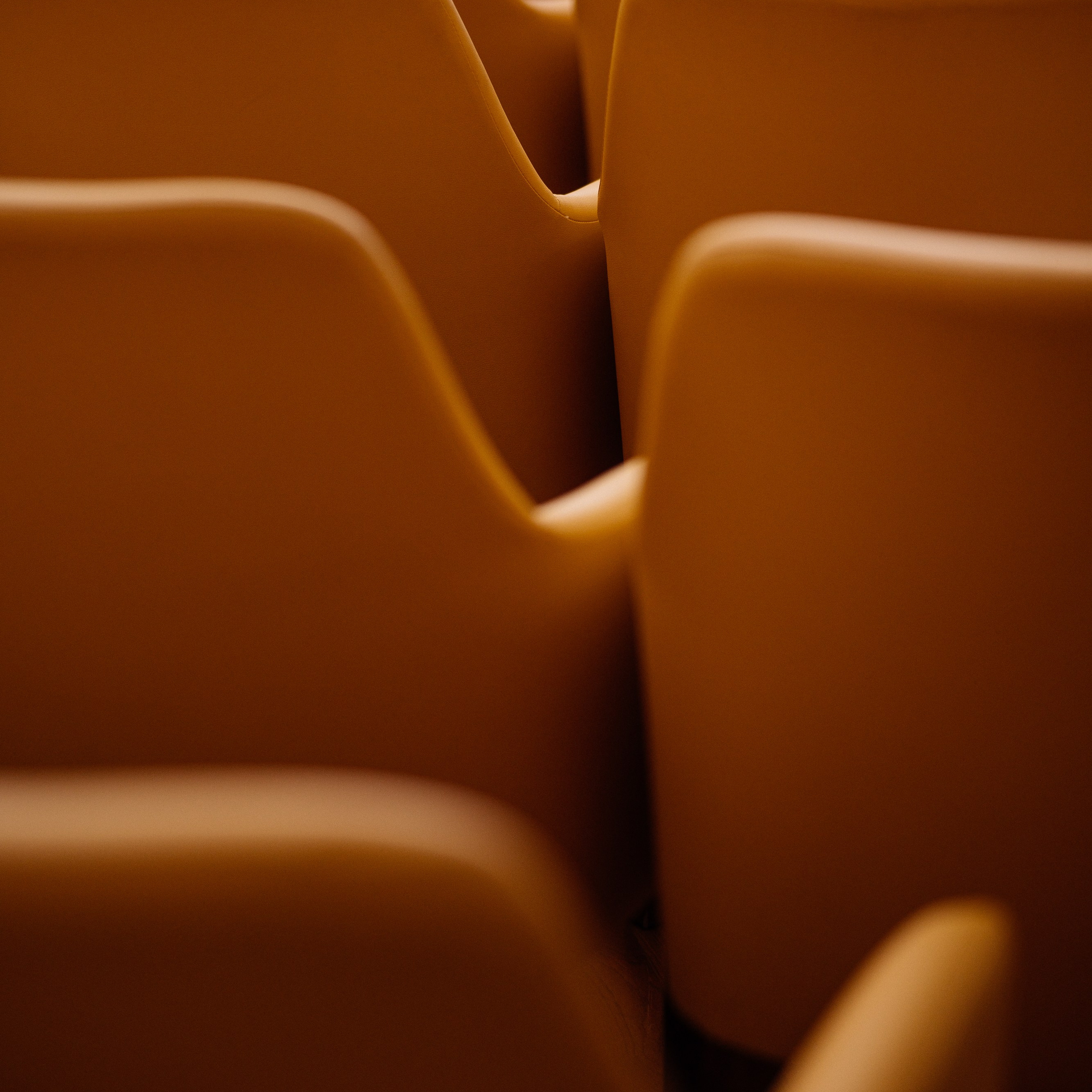 Конференция. Семейный свадебный фотограф Семен Егоров