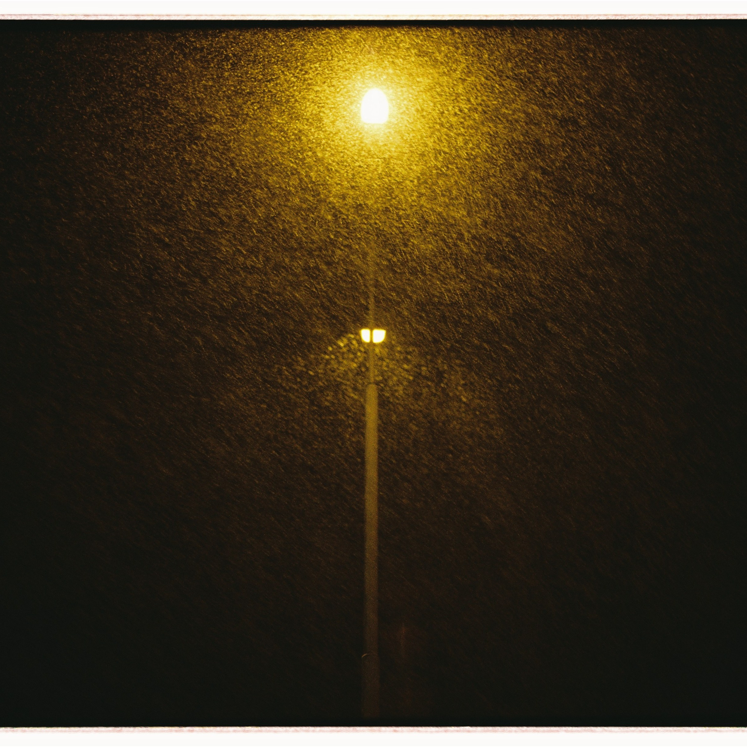 Пленка. Семейный свадебный фотограф Семен Егоров