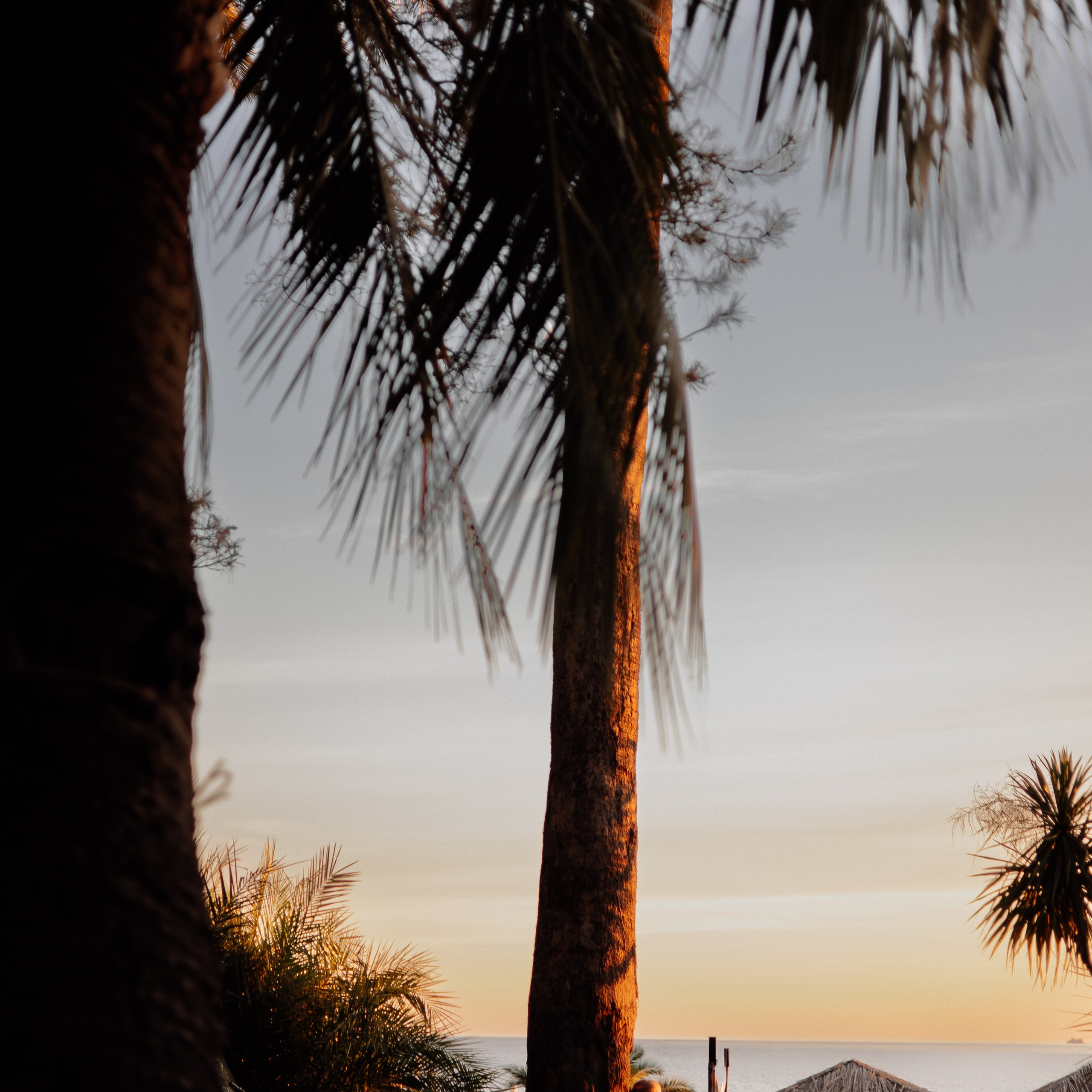 Рита (Абхазия). Семейный свадебный фотограф Семен Егоров