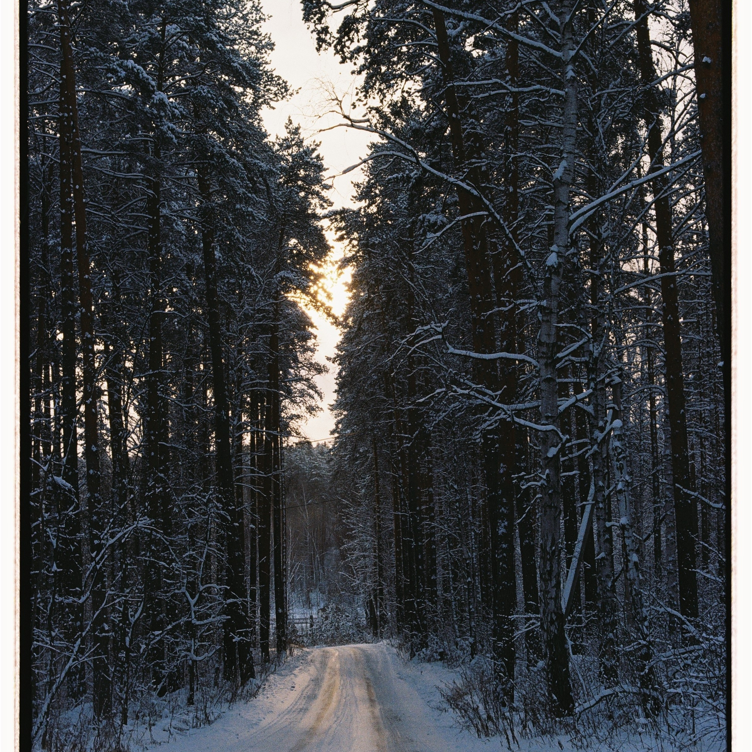 Пленка. Семейный свадебный фотограф Семен Егоров