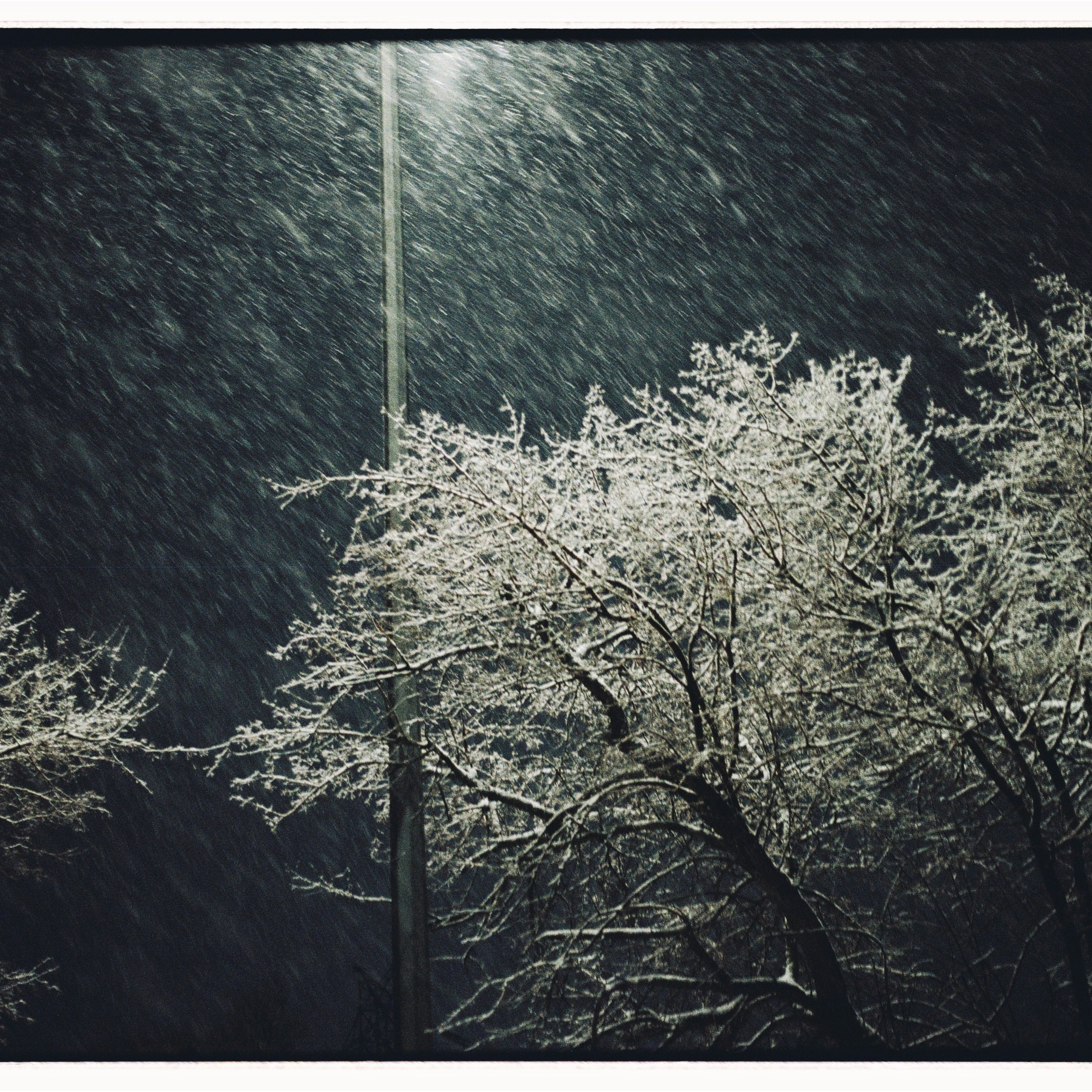 Пленка. Семейный свадебный фотограф Семен Егоров