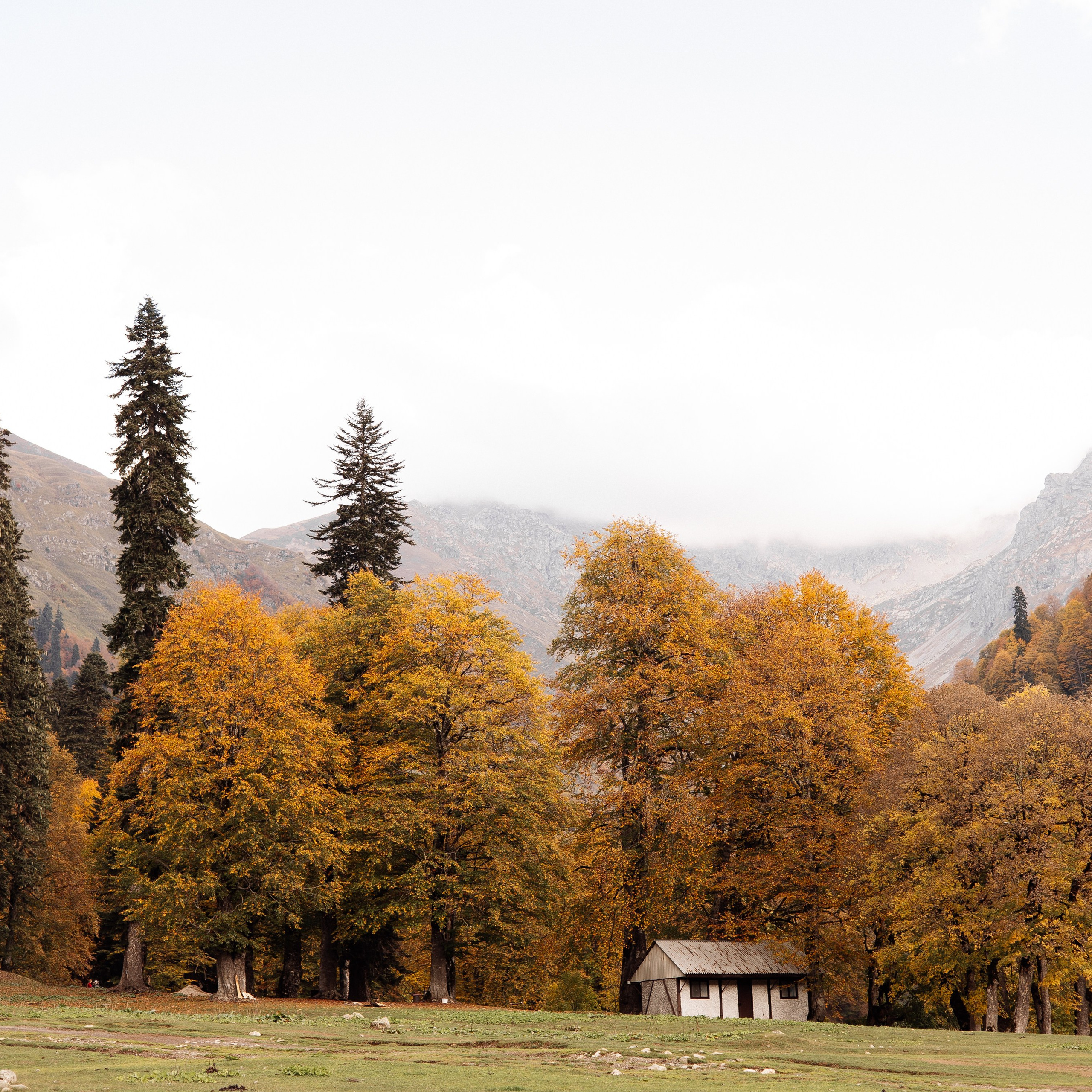 Рита (Абхазия). Семейный свадебный фотограф Семен Егоров